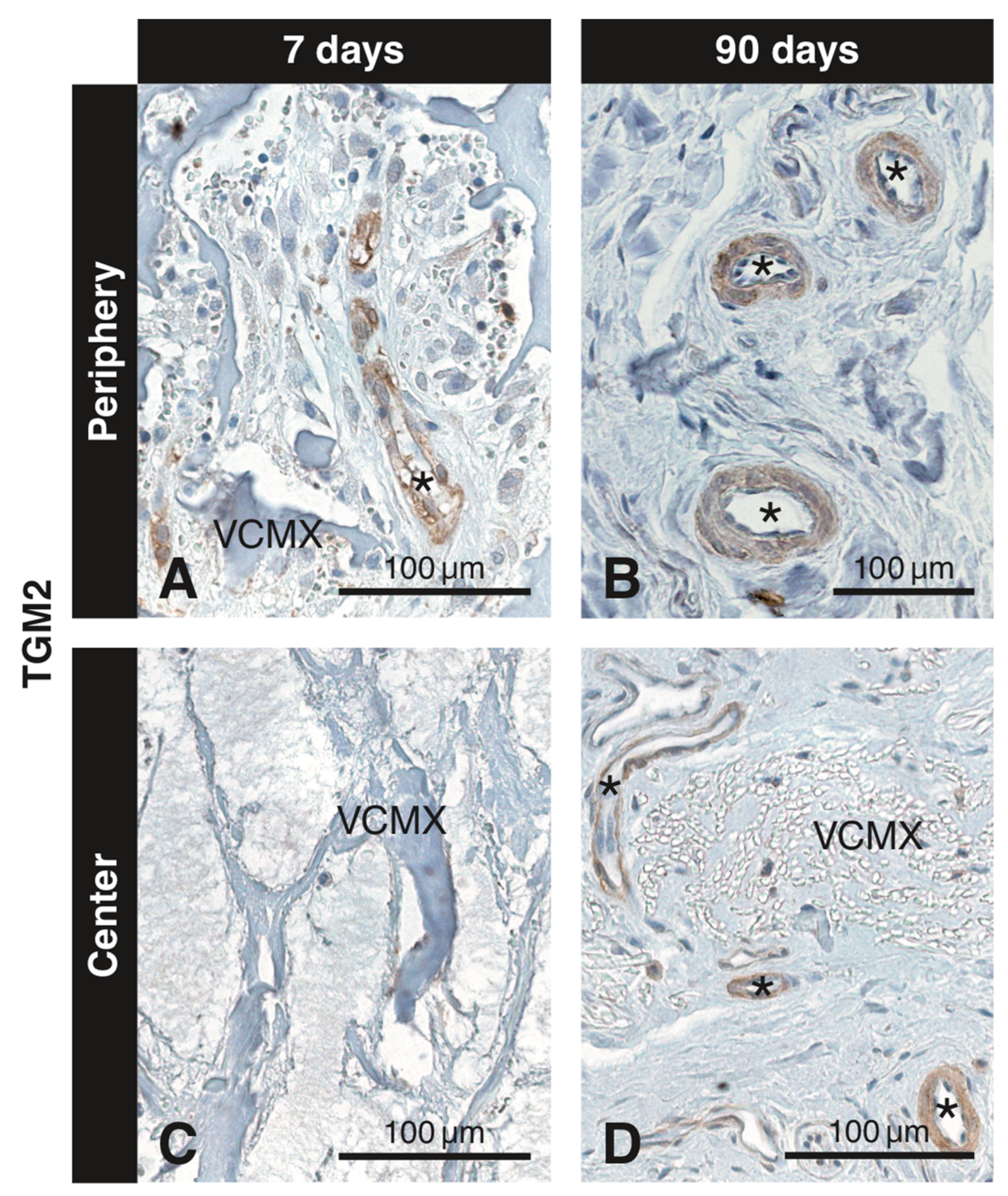 Materials 12 03721 g007 Materials 12 03721 g007