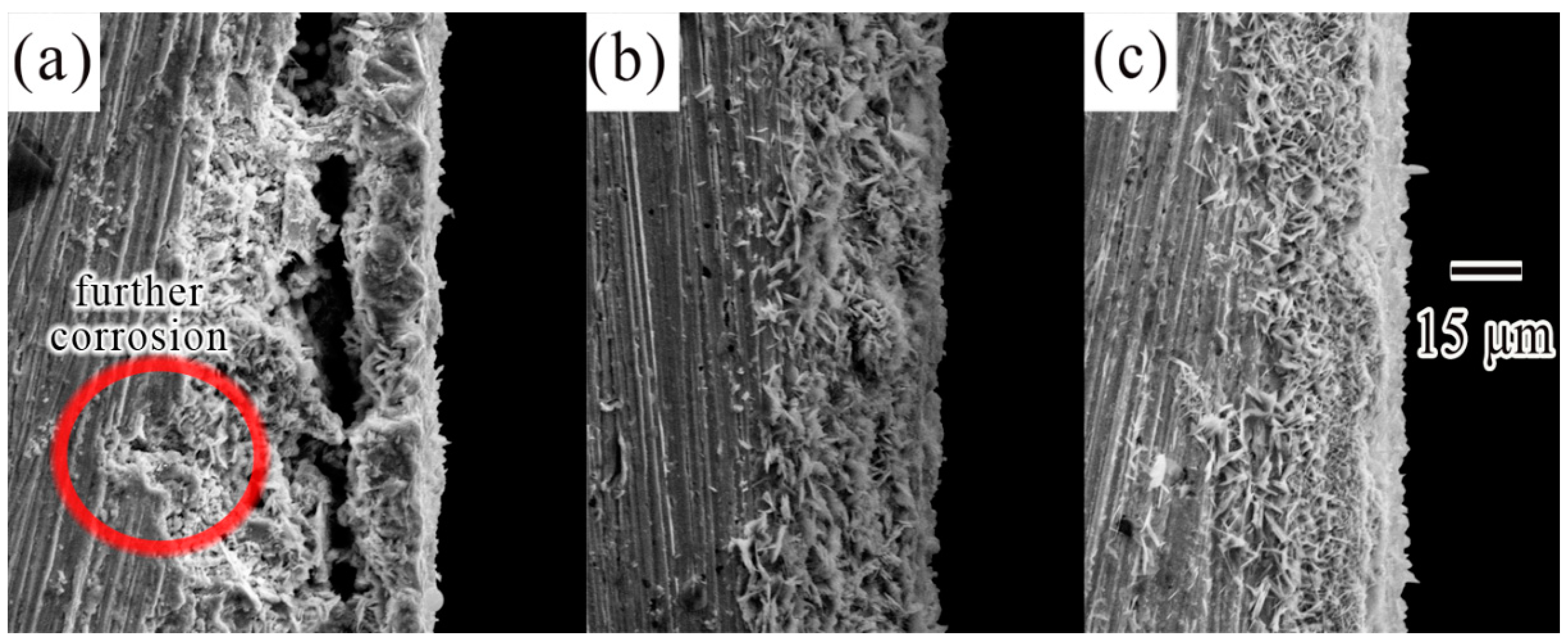 Materials 12 03731 g009