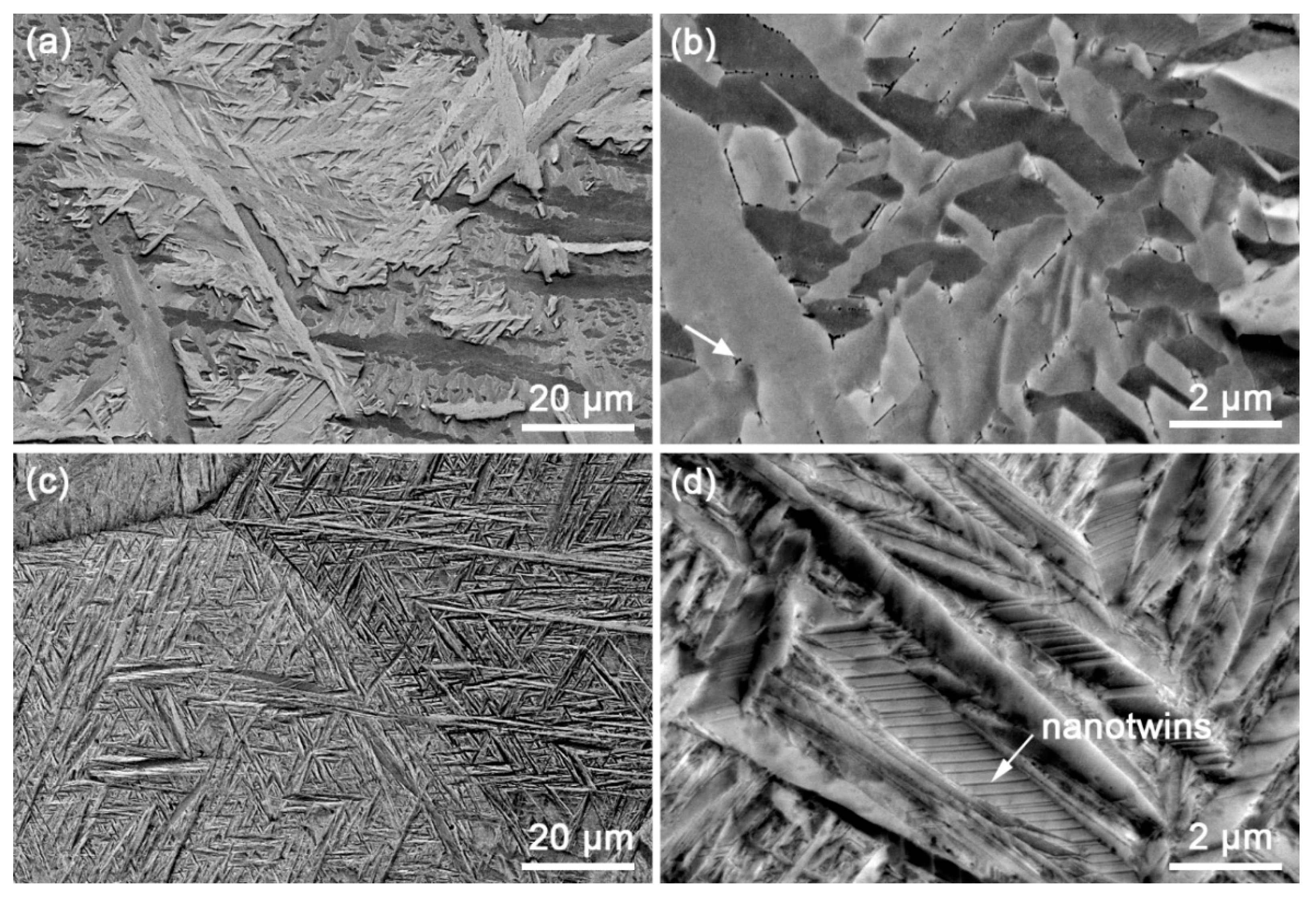 Materials 12 03752 g003 550