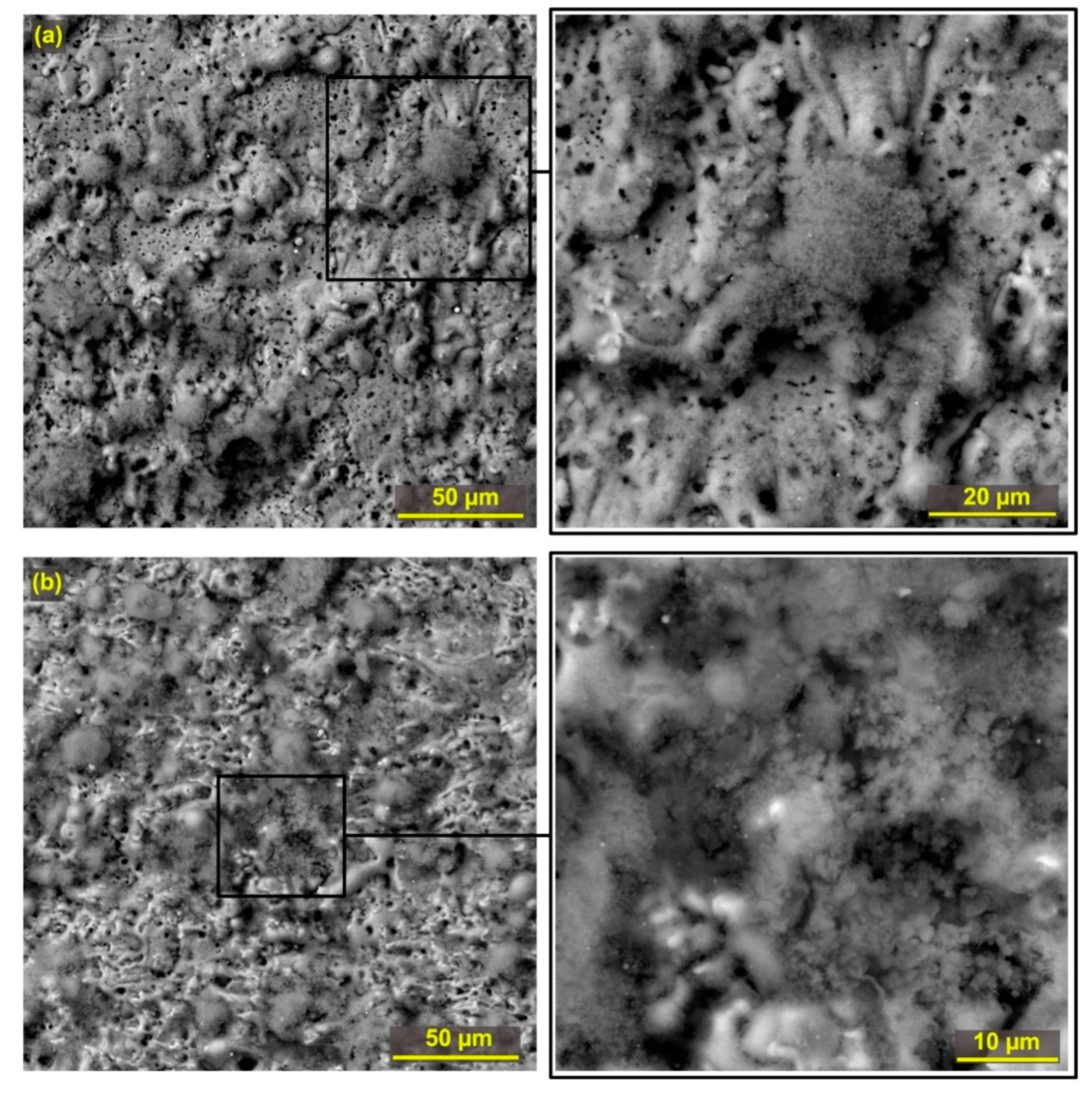 Materials 12 03758 g006