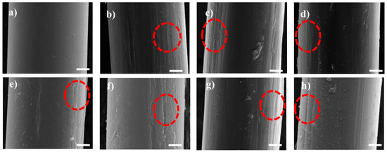 j-t JT Sprockets: Catalogue