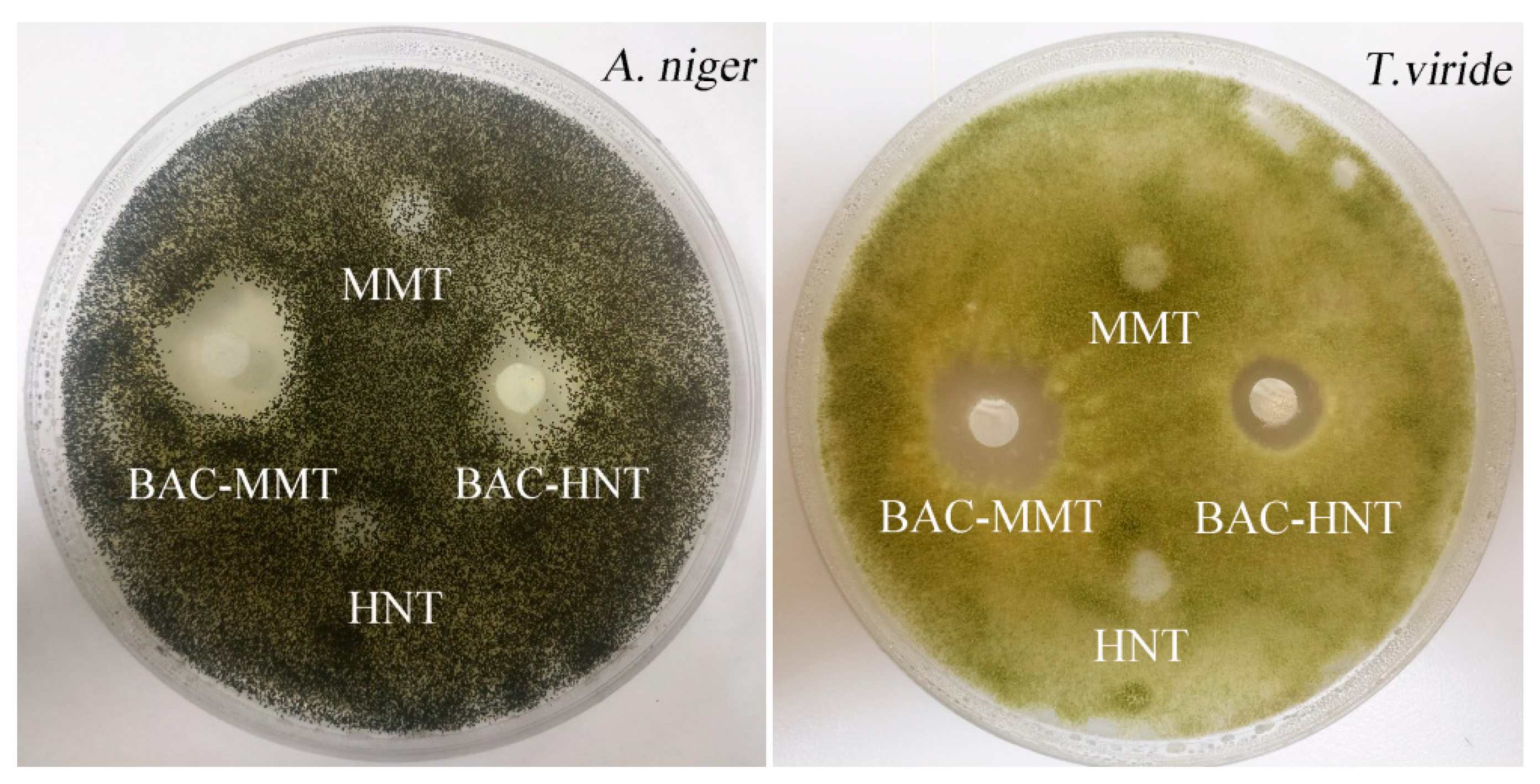 Materials 12 03780 g008