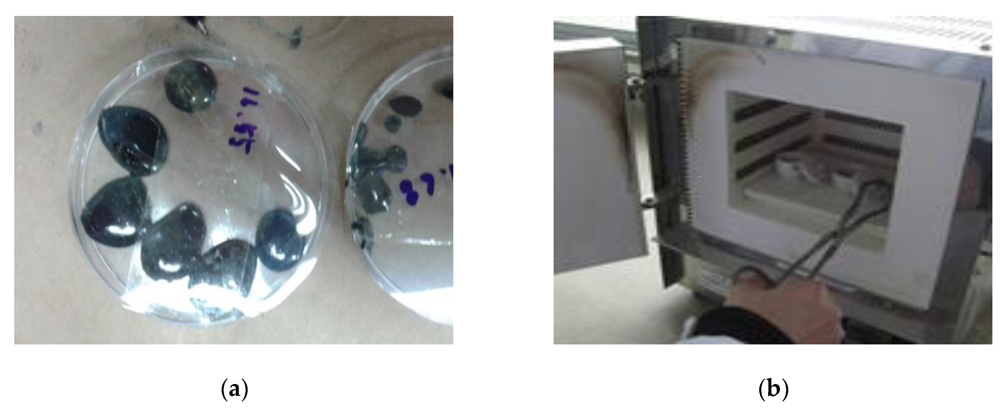 Materials 12 03816 g007 550