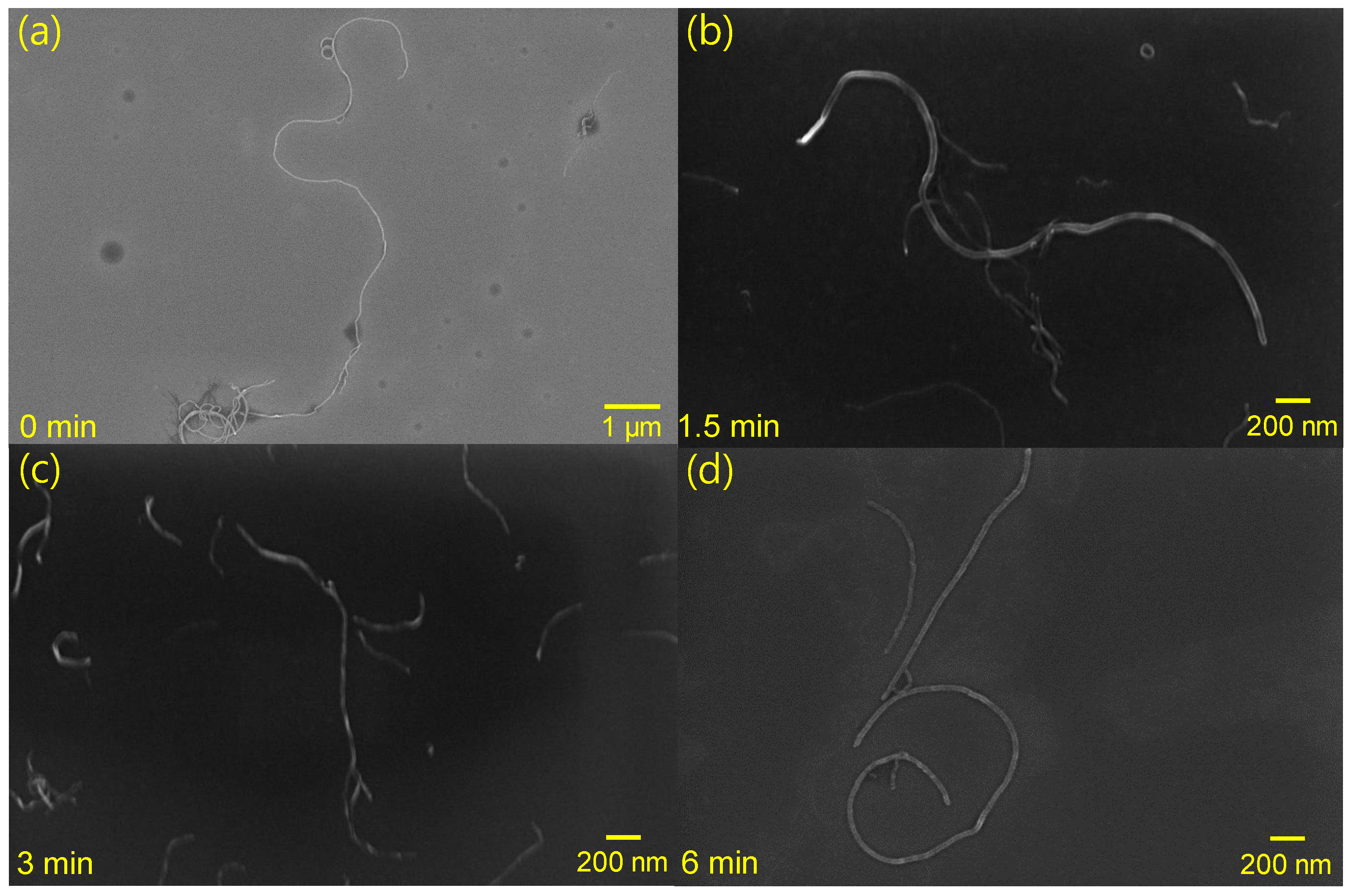 Materials 12 03823 g002