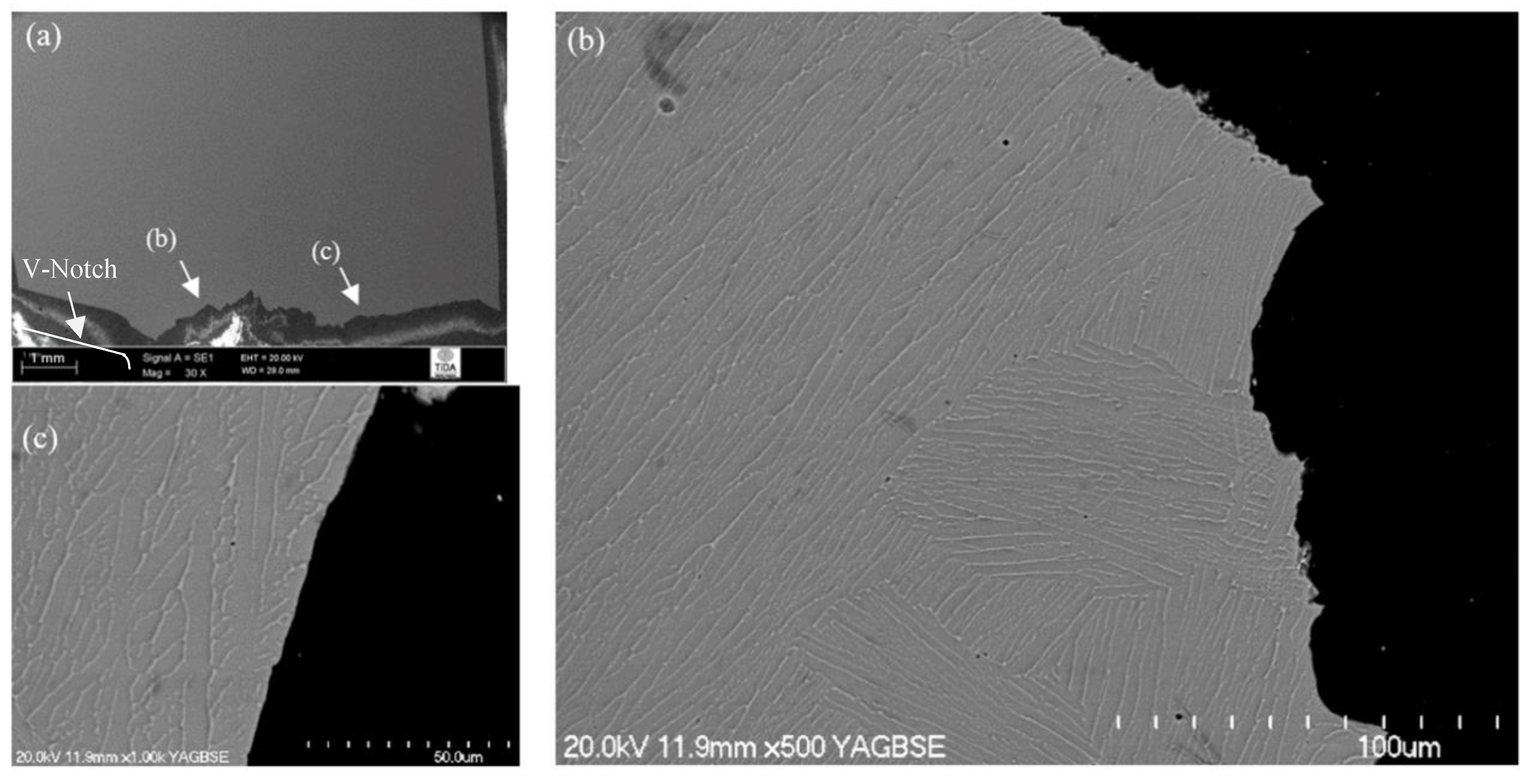 Materials 12 03824 g004 Materials 12 03824 g004