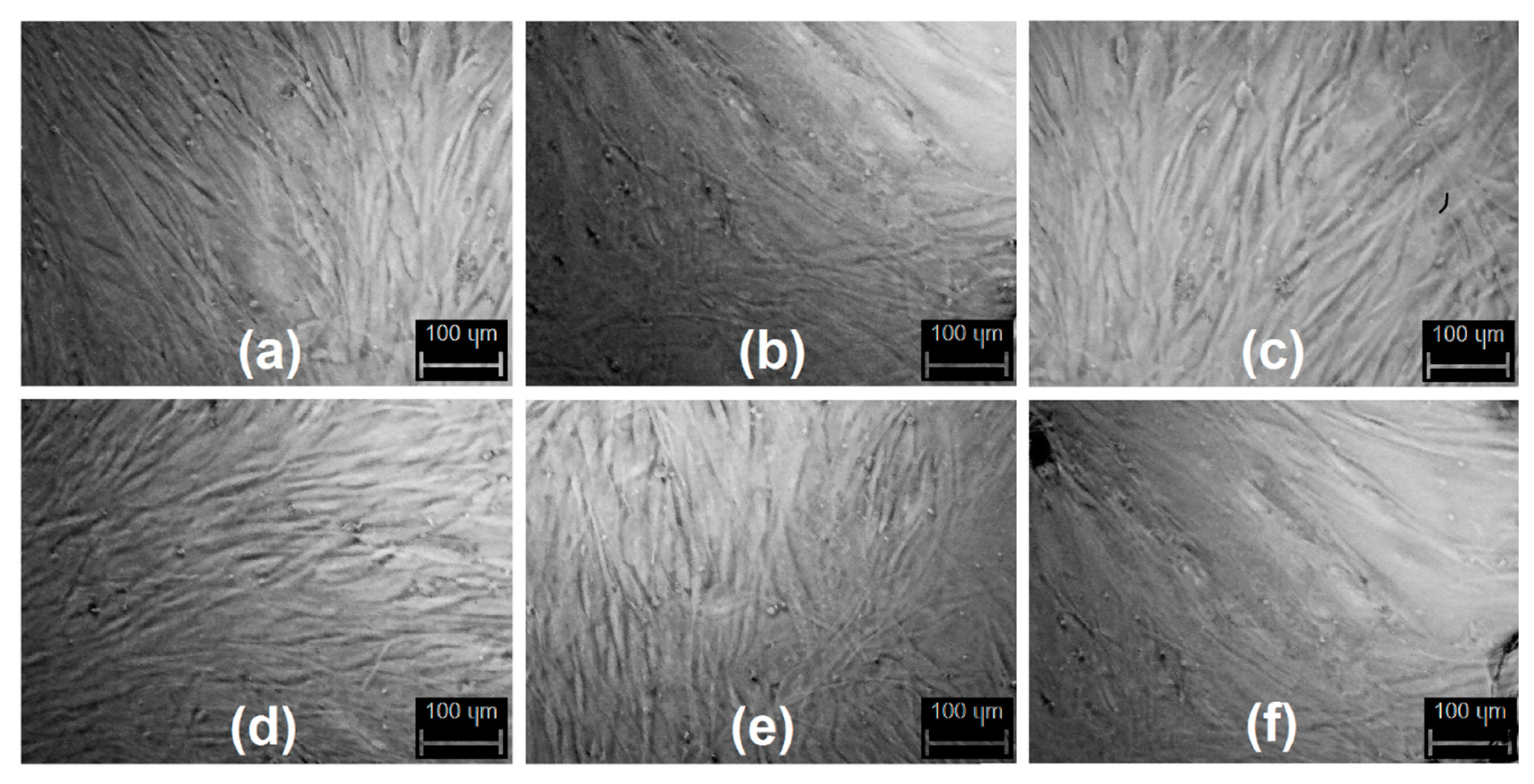 Materials 12 03825 g011