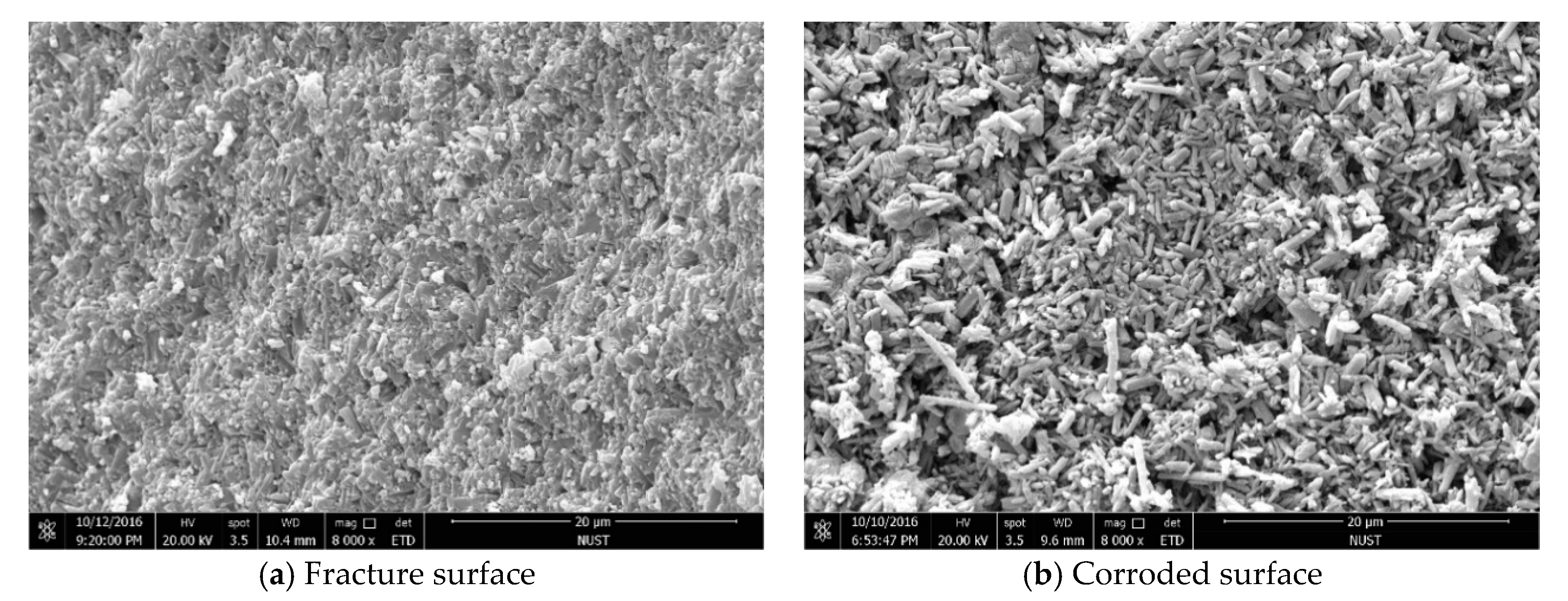 Materials 12 03837 g007