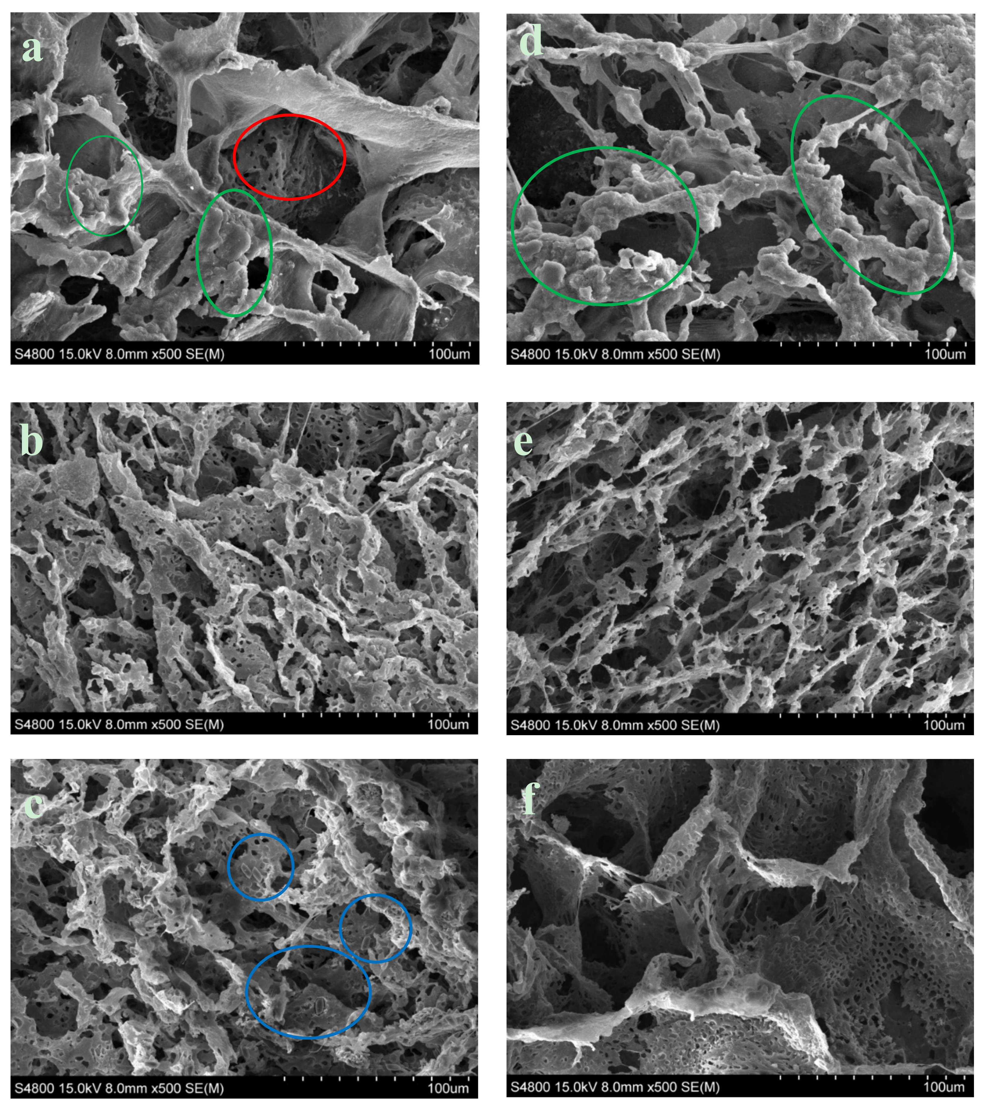 Materials 12 03843 g006 550