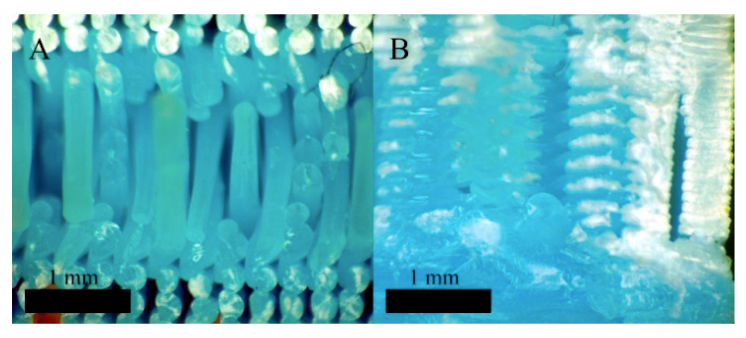 Materials 12 03859 g015 550