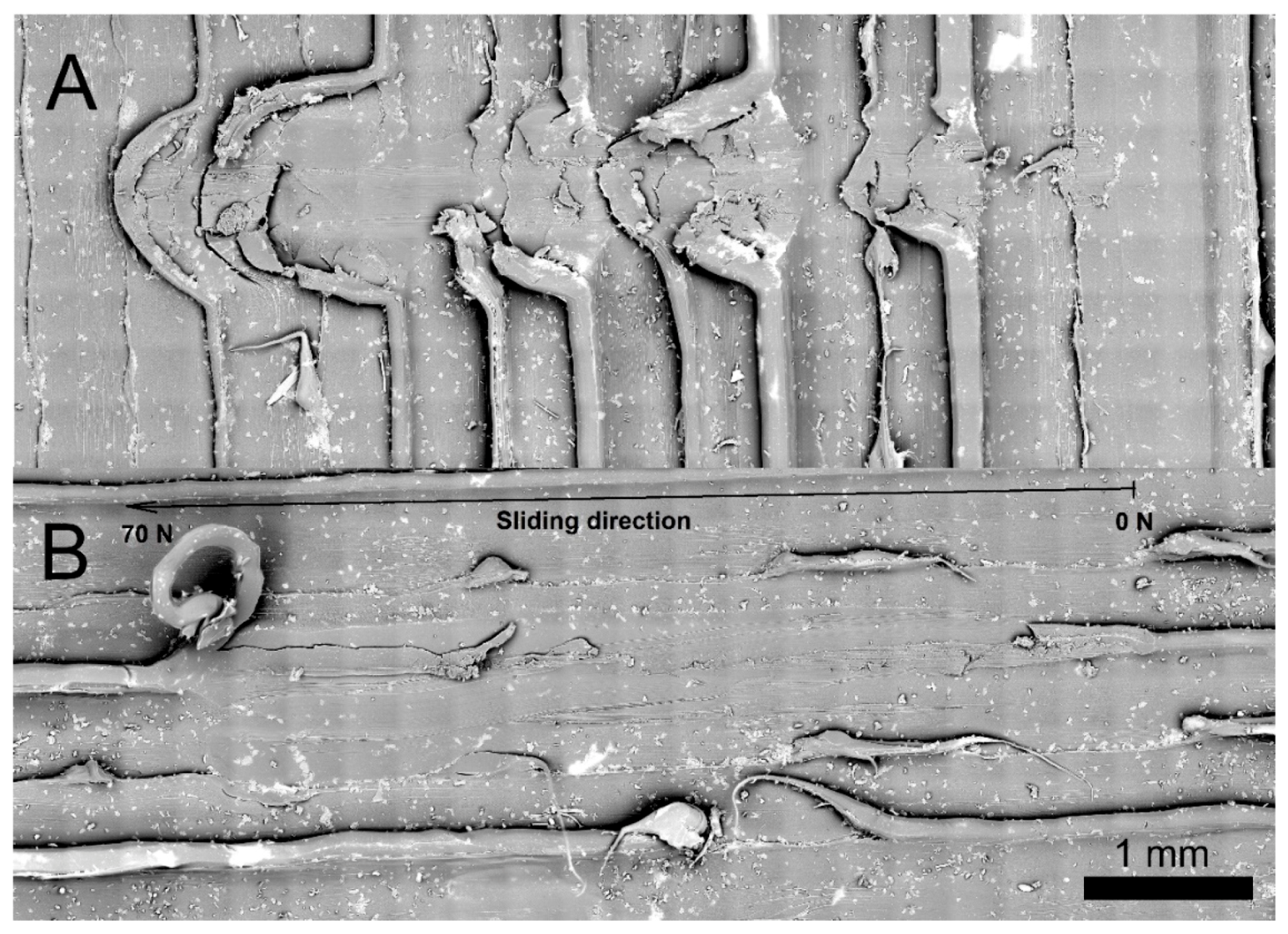 Materials 12 03859 g016 550