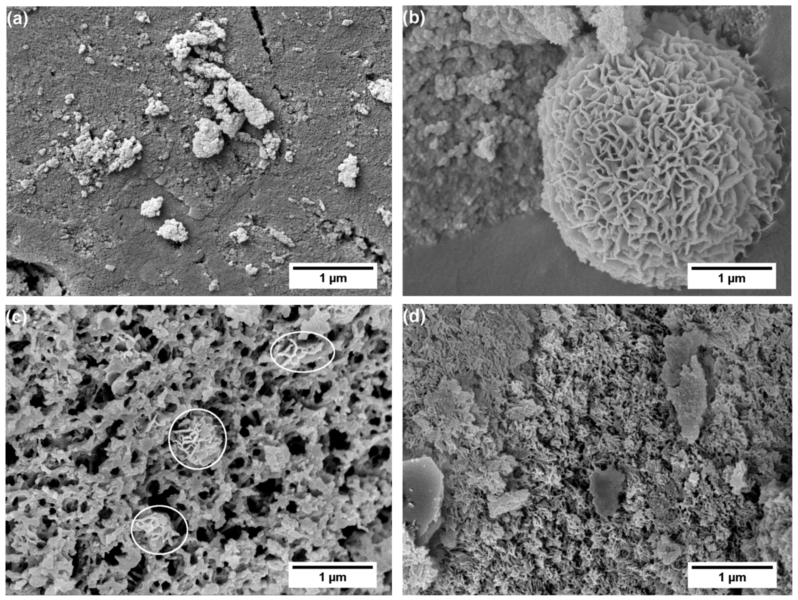 Materials 12 03862 g009 Materials 12 03862 g009