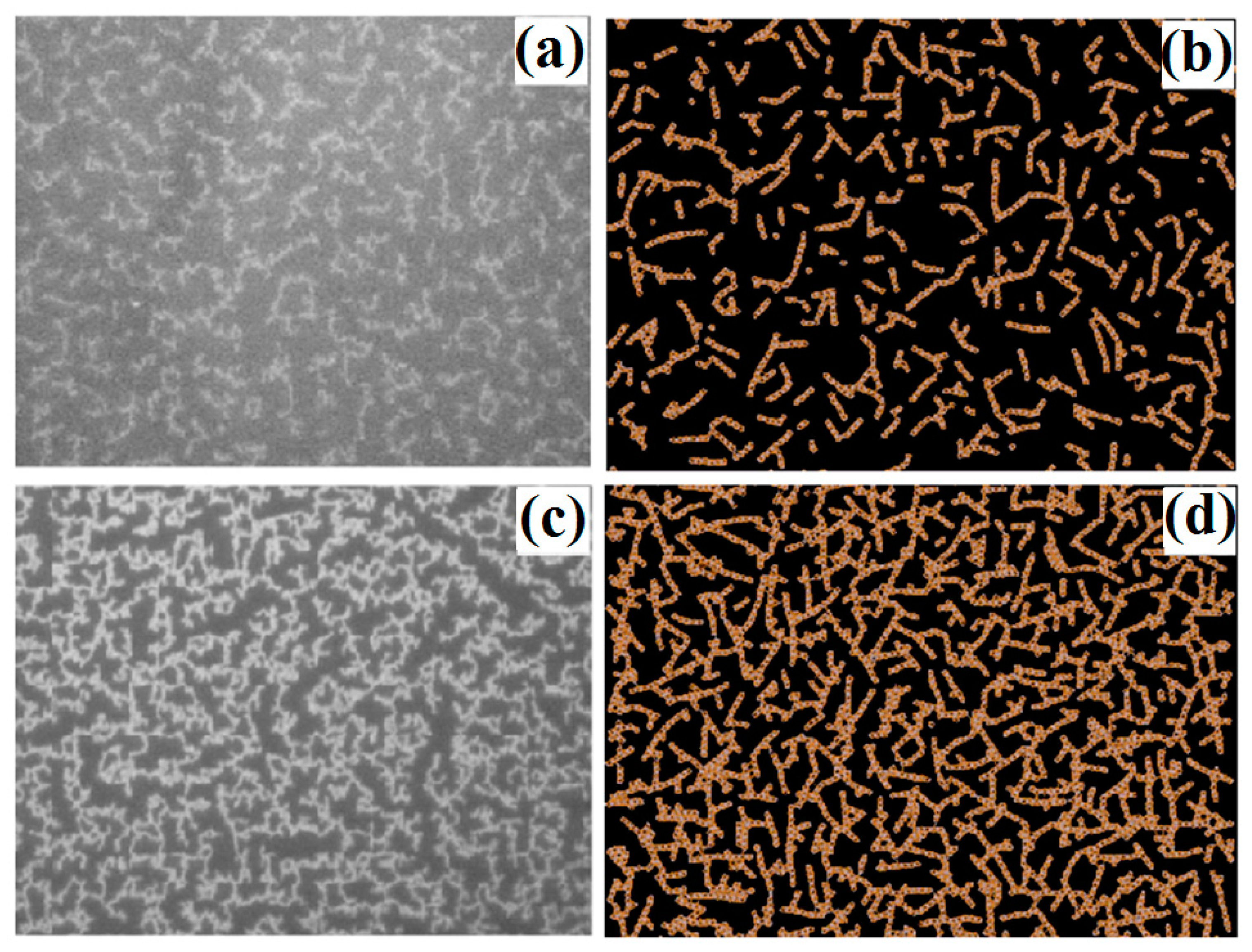 Materials 12 03877 g008 Materials 12 03877 g008