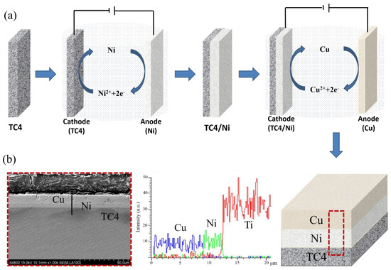 Isothermal Diffusion Behavior and Surface Performance of Cu/Ni Coating ...