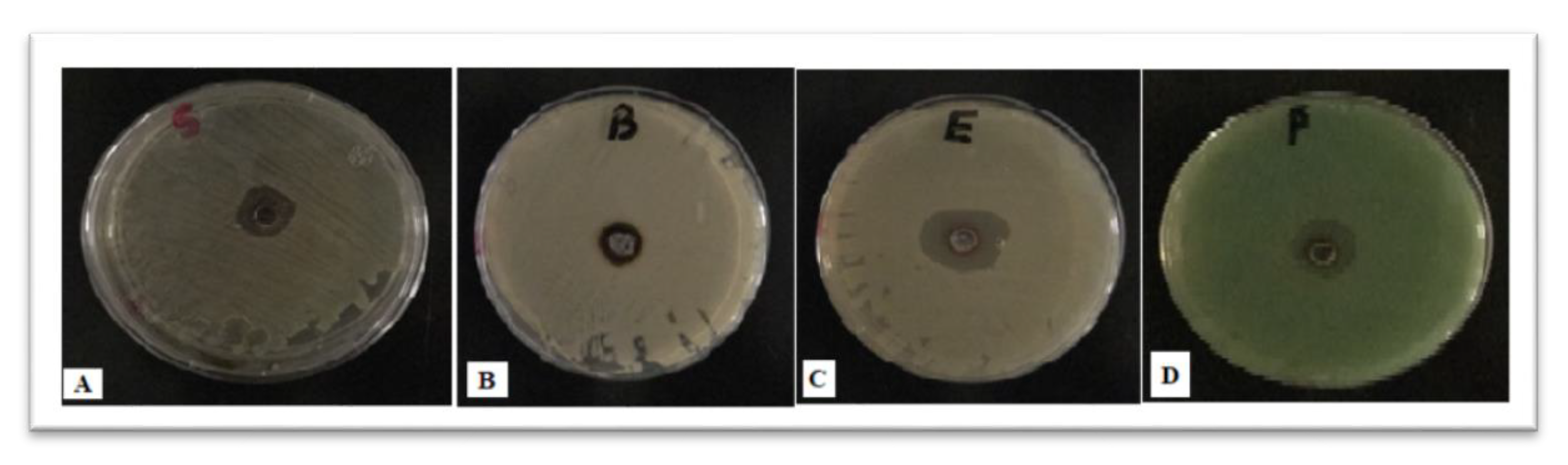 Materials 12 03890 g006