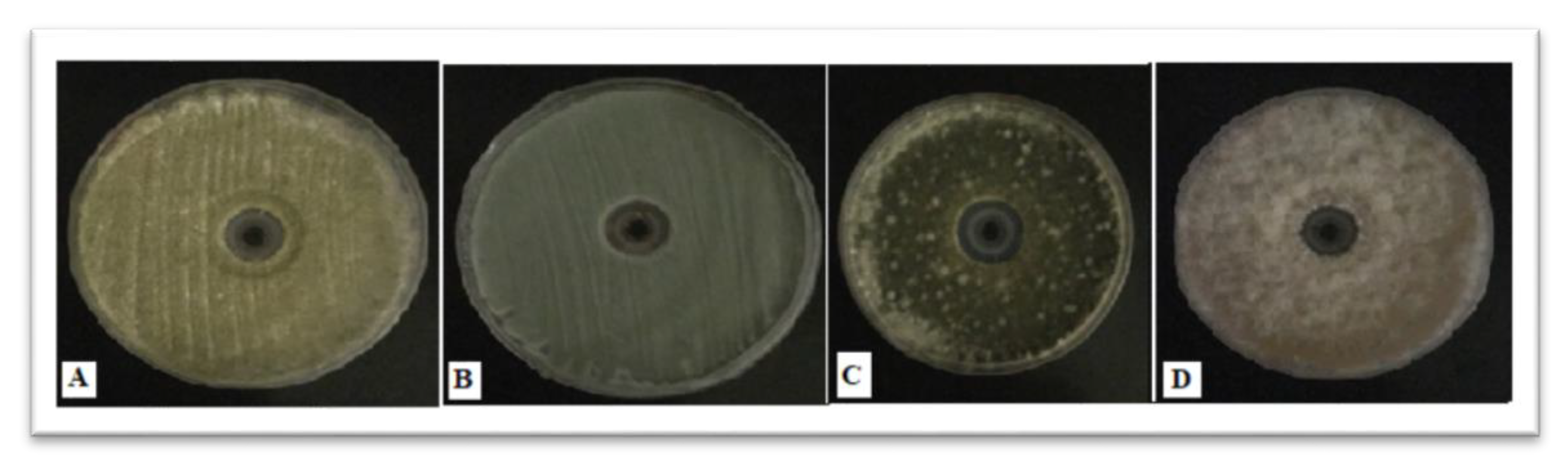 Materials 12 03890 g007