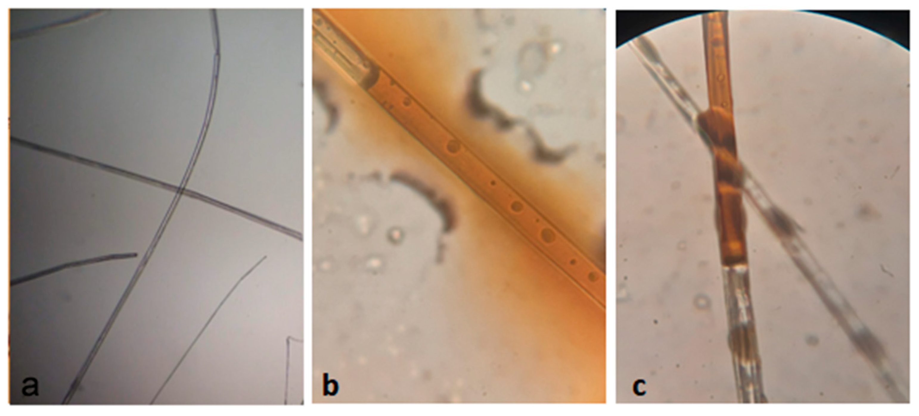 Materials 12 03894 g010 Materials 12 03894 g010