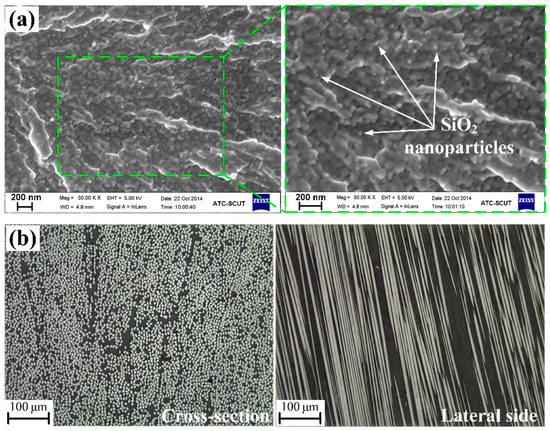 Modeling of Compressive Strength for Unidirectional Fiber Reinforced ...