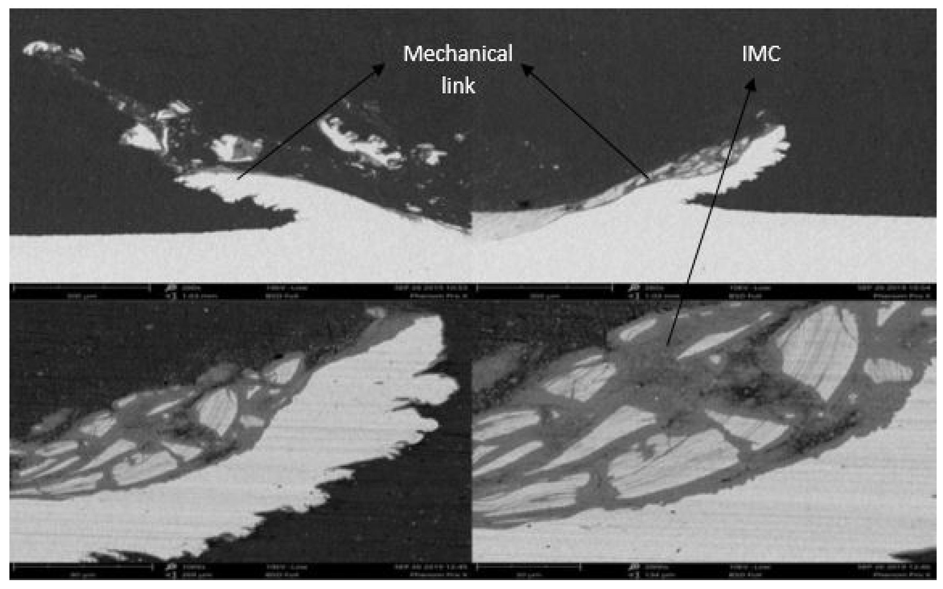 Materials 12 03901 g006