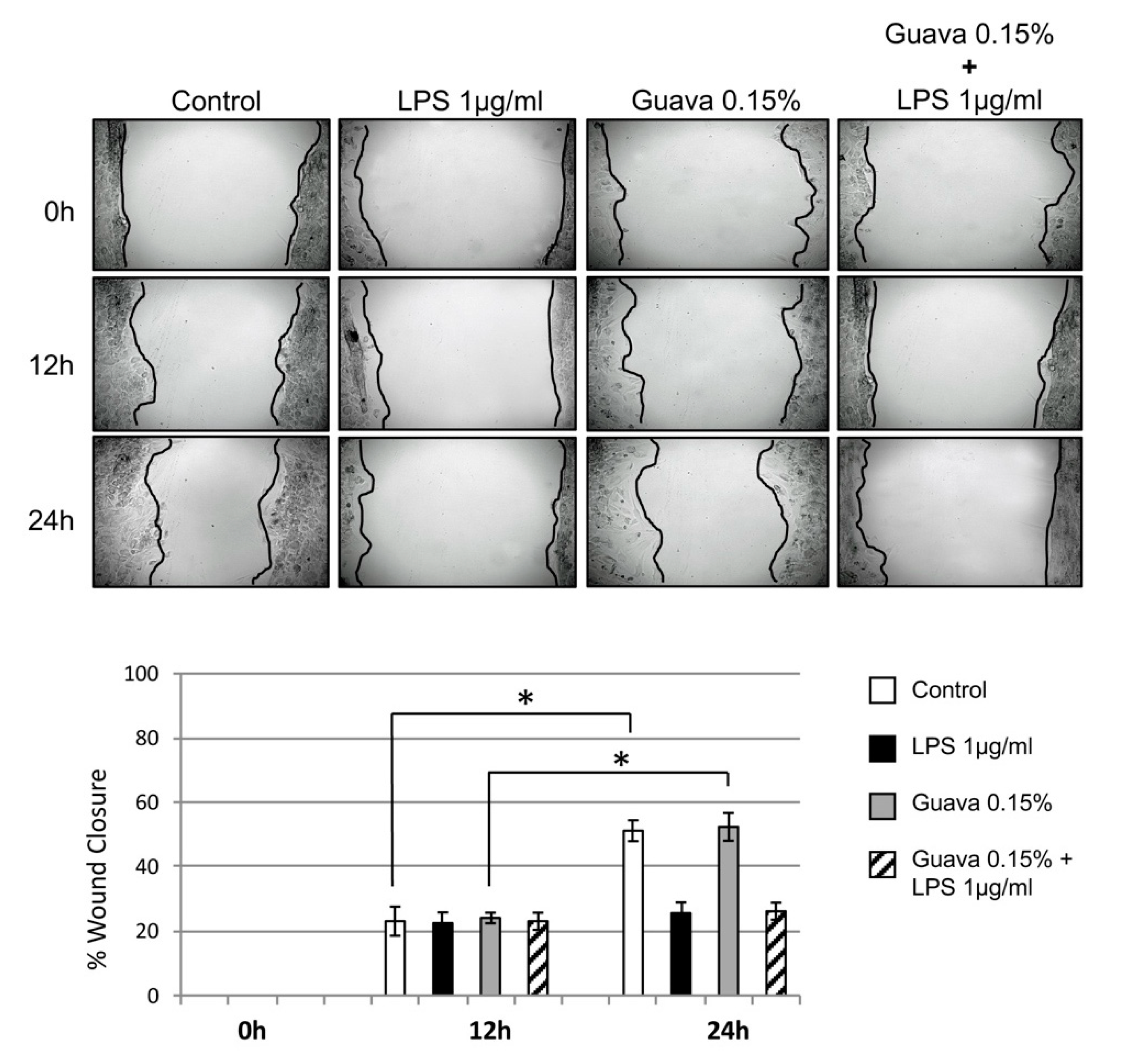 Materials 12 03903 g003 Materials 12 03903 g003