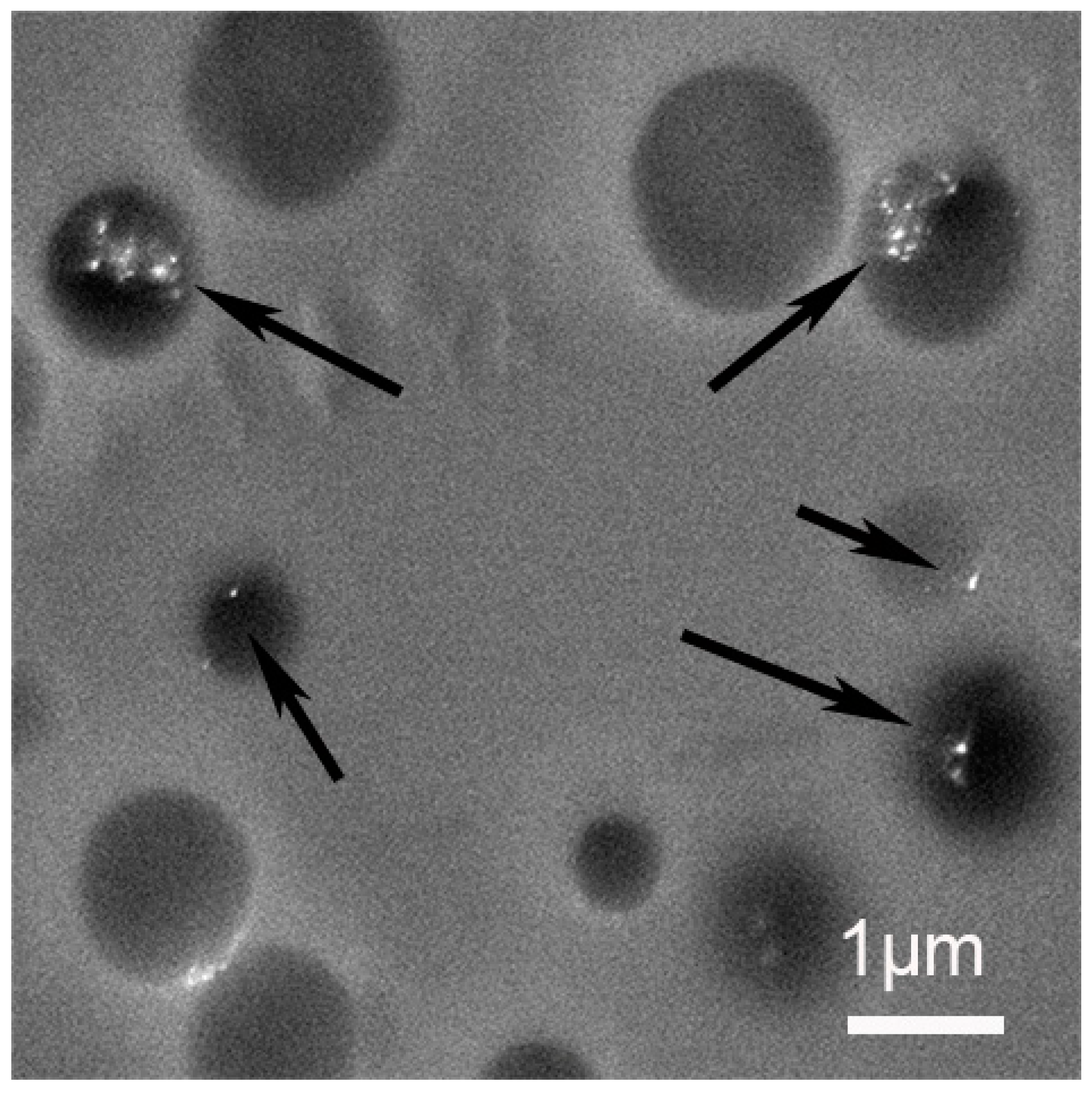 Materials 12 03921 g009