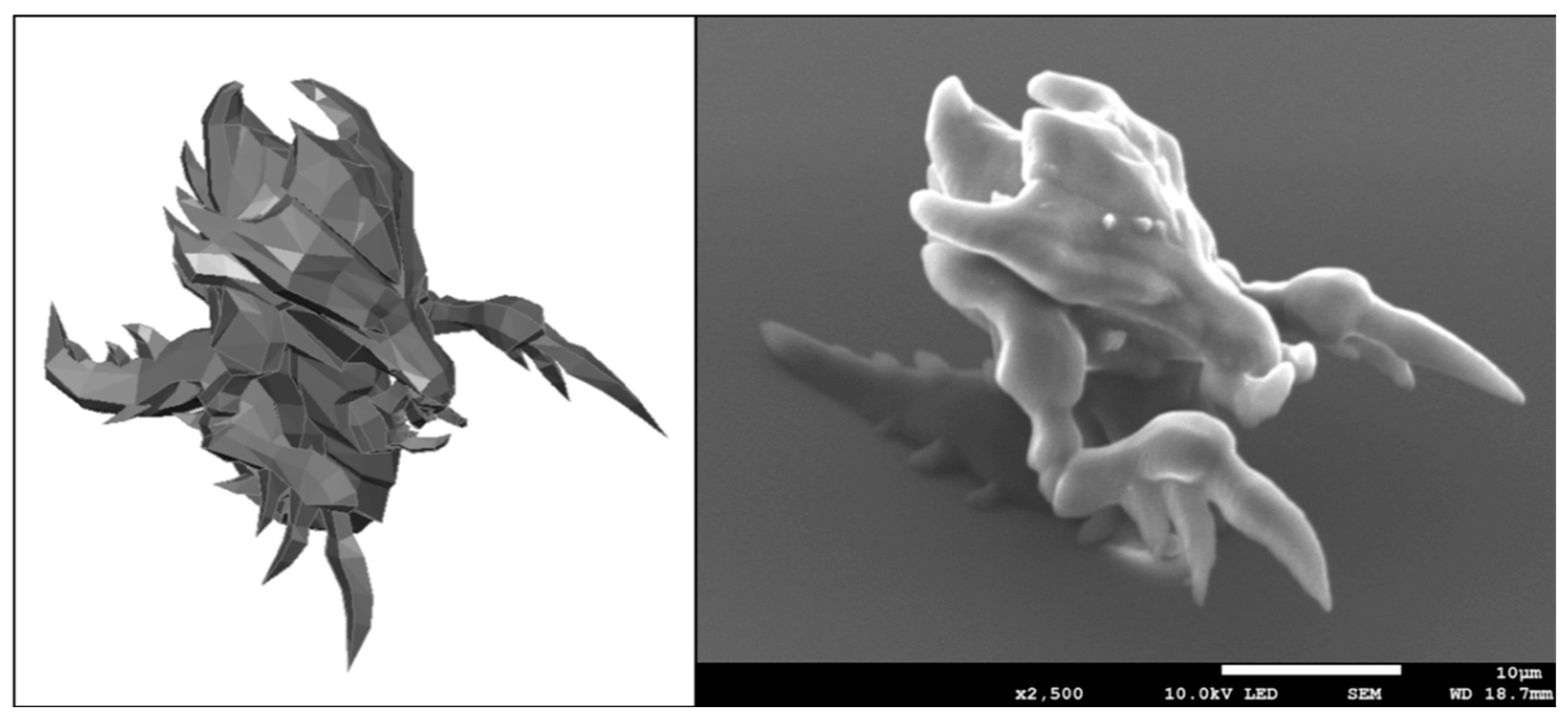 Materials 12 03932 g001