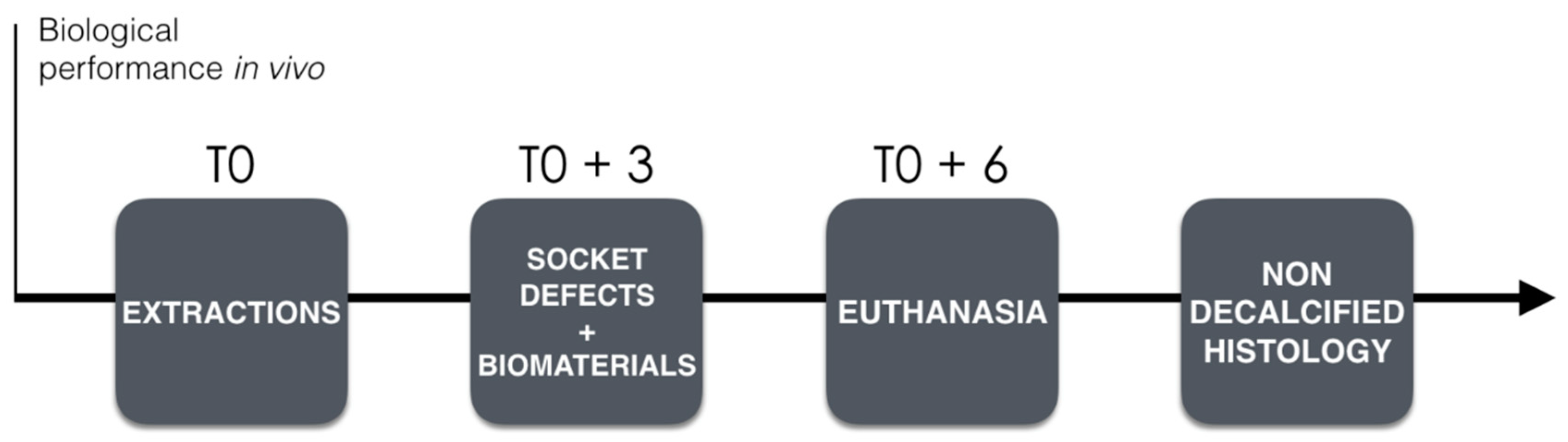 Materials 12 03946 g001 Materials 12 03946 g001