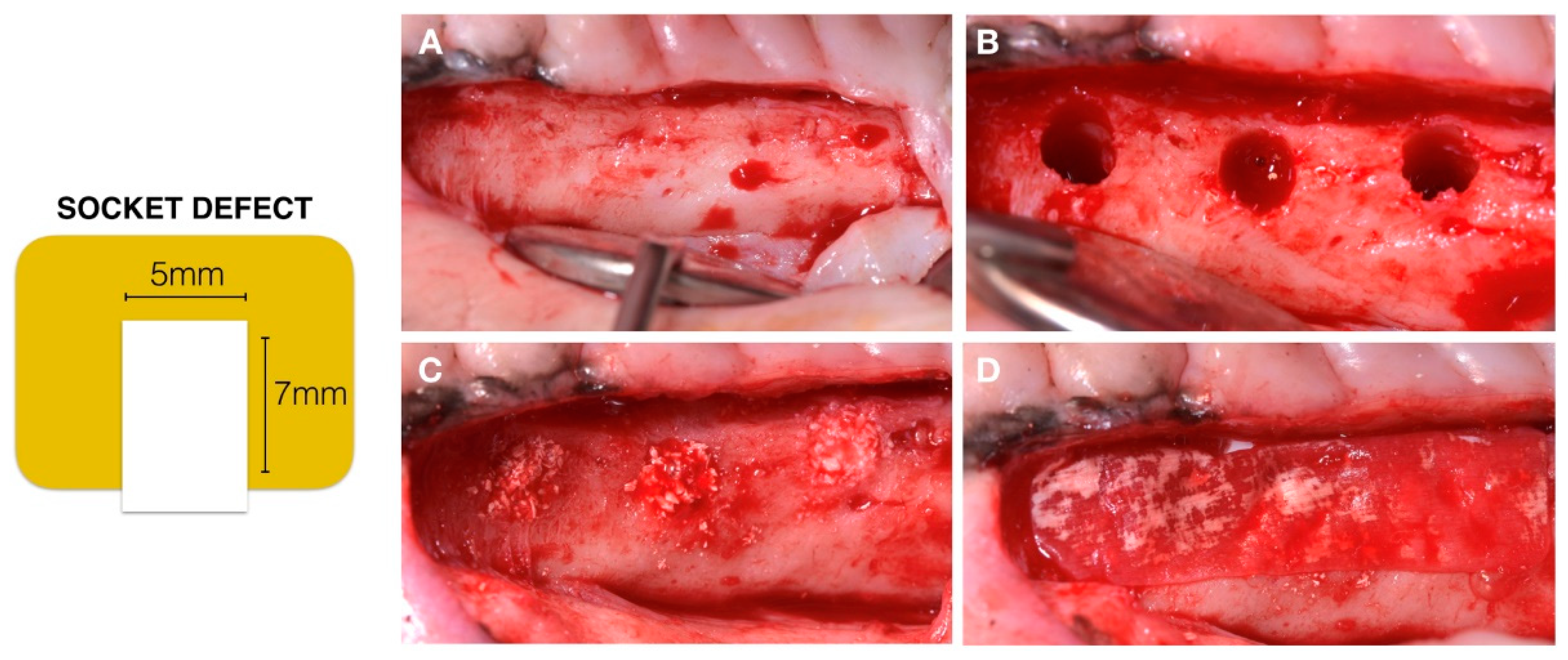 Materials 12 03946 g002 Materials 12 03946 g002