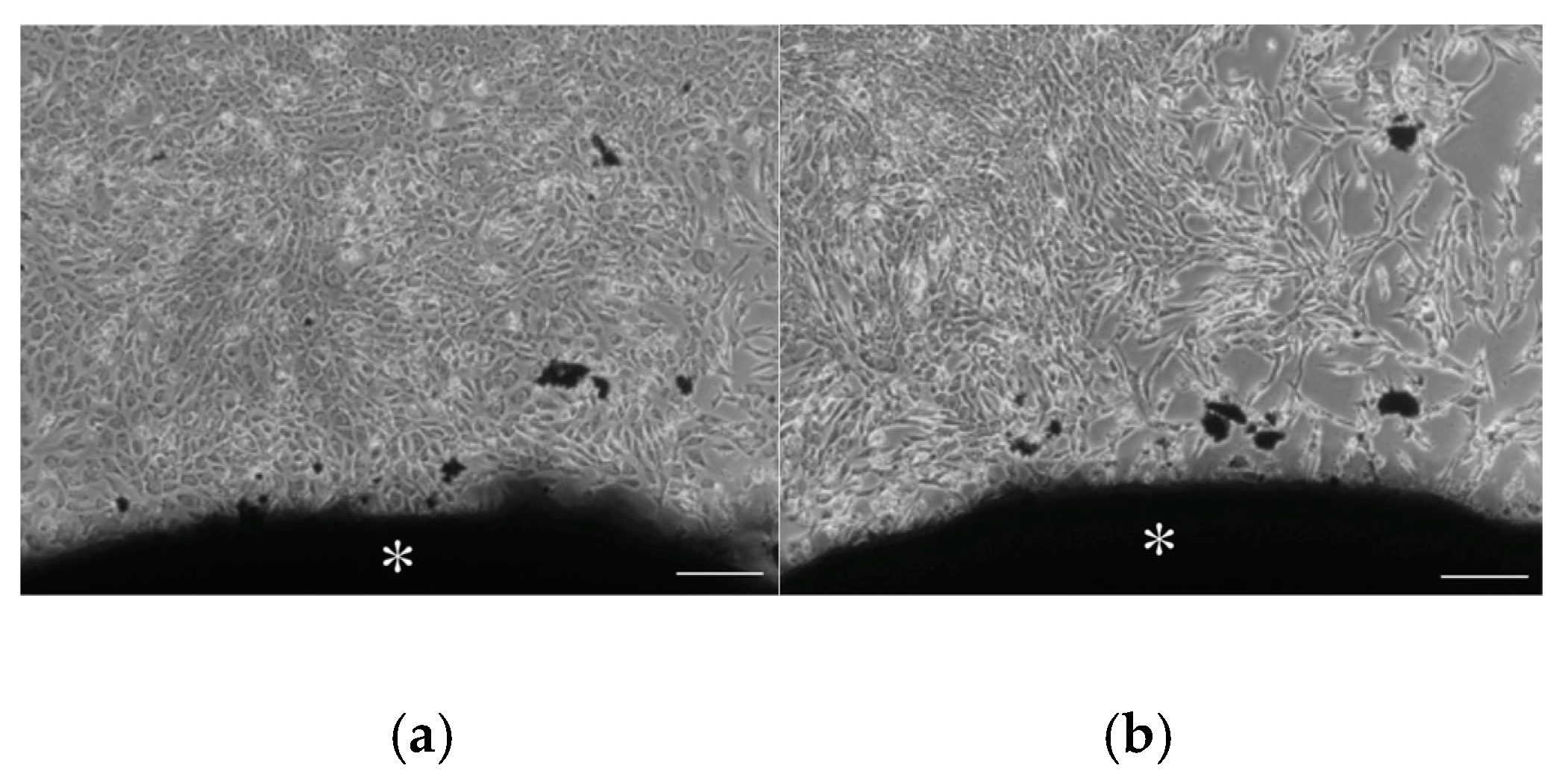 Materials 12 03967 g009