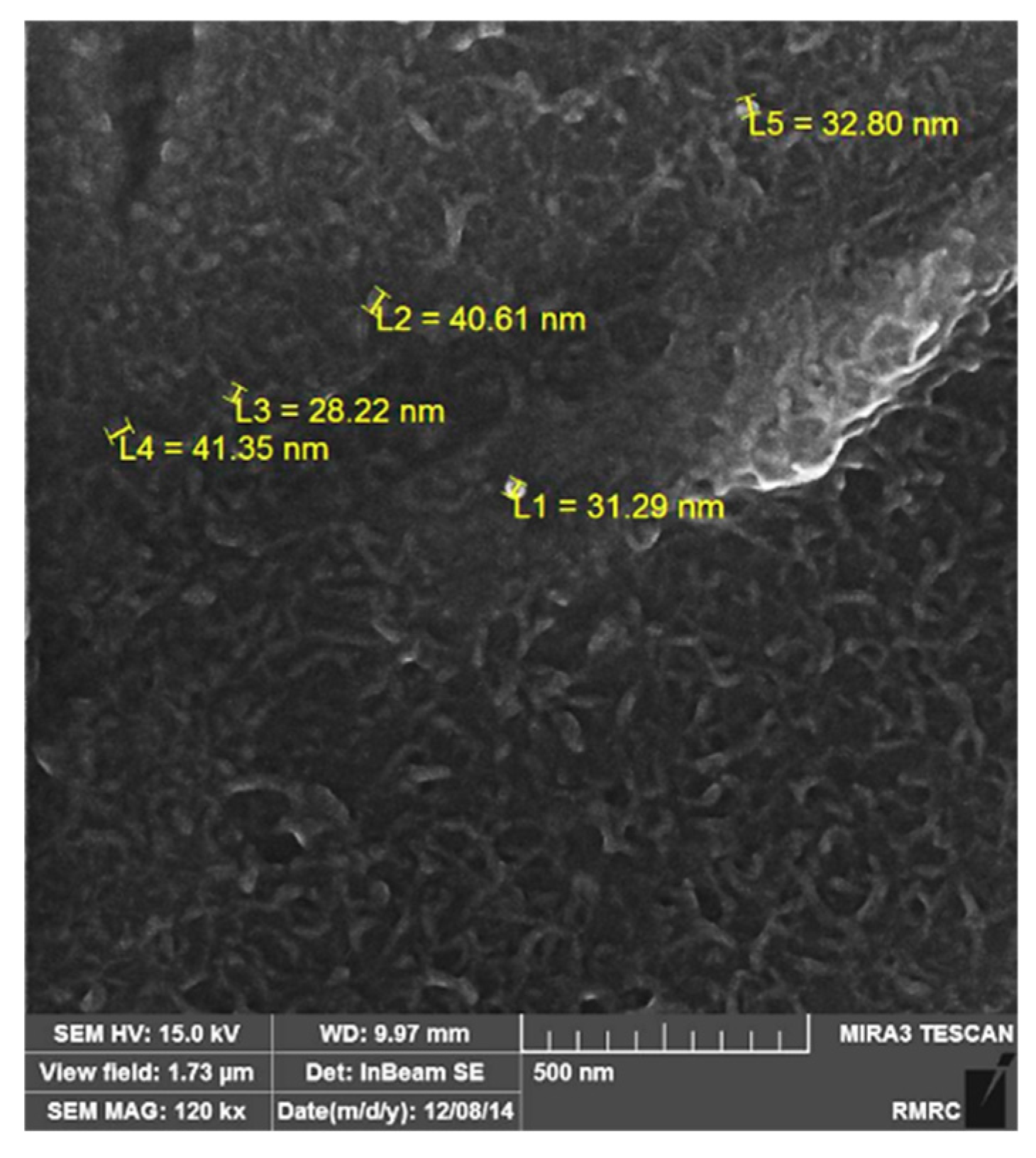 Materials 12 03976 g004 550