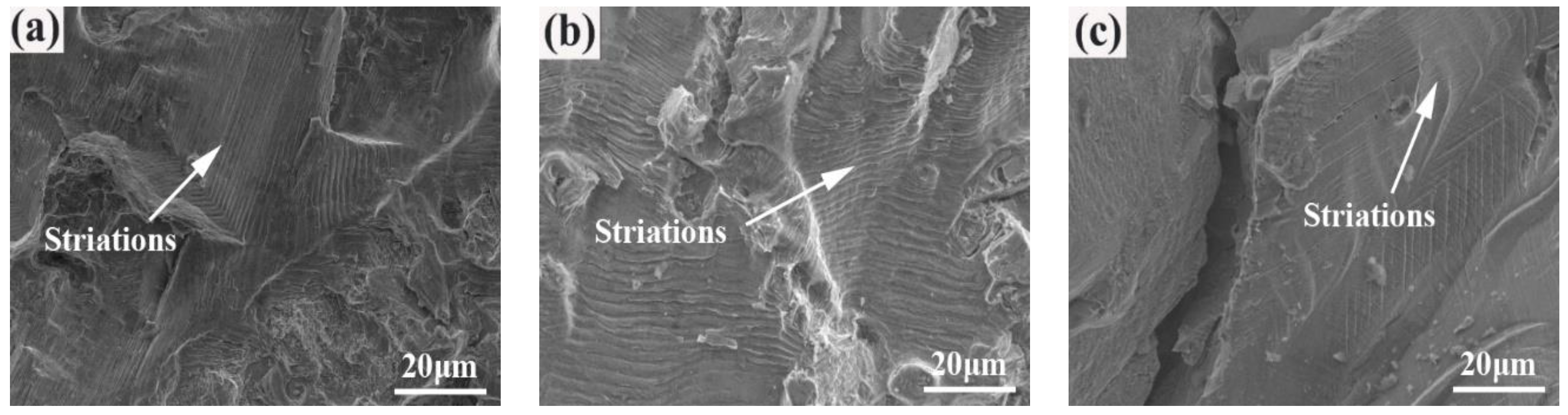 Materials 12 03979 g010