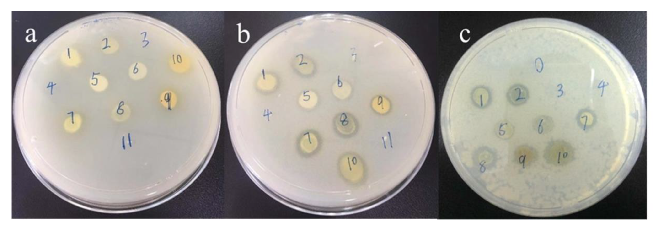 Materials 12 03980 g011 Materials 12 03980 g011