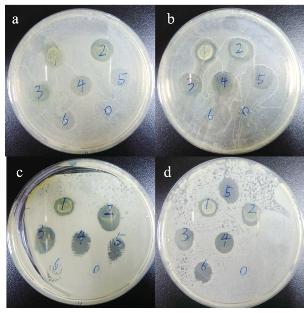 Materials 12 03980 g012 Materials 12 03980 g012