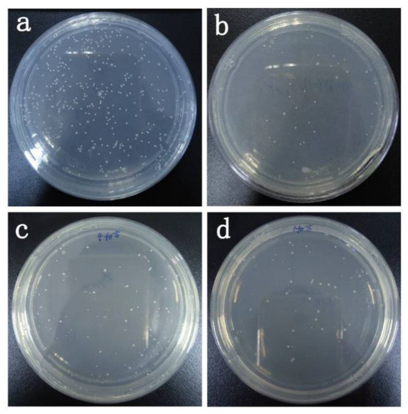 Materials 12 03980 g013 Materials 12 03980 g013