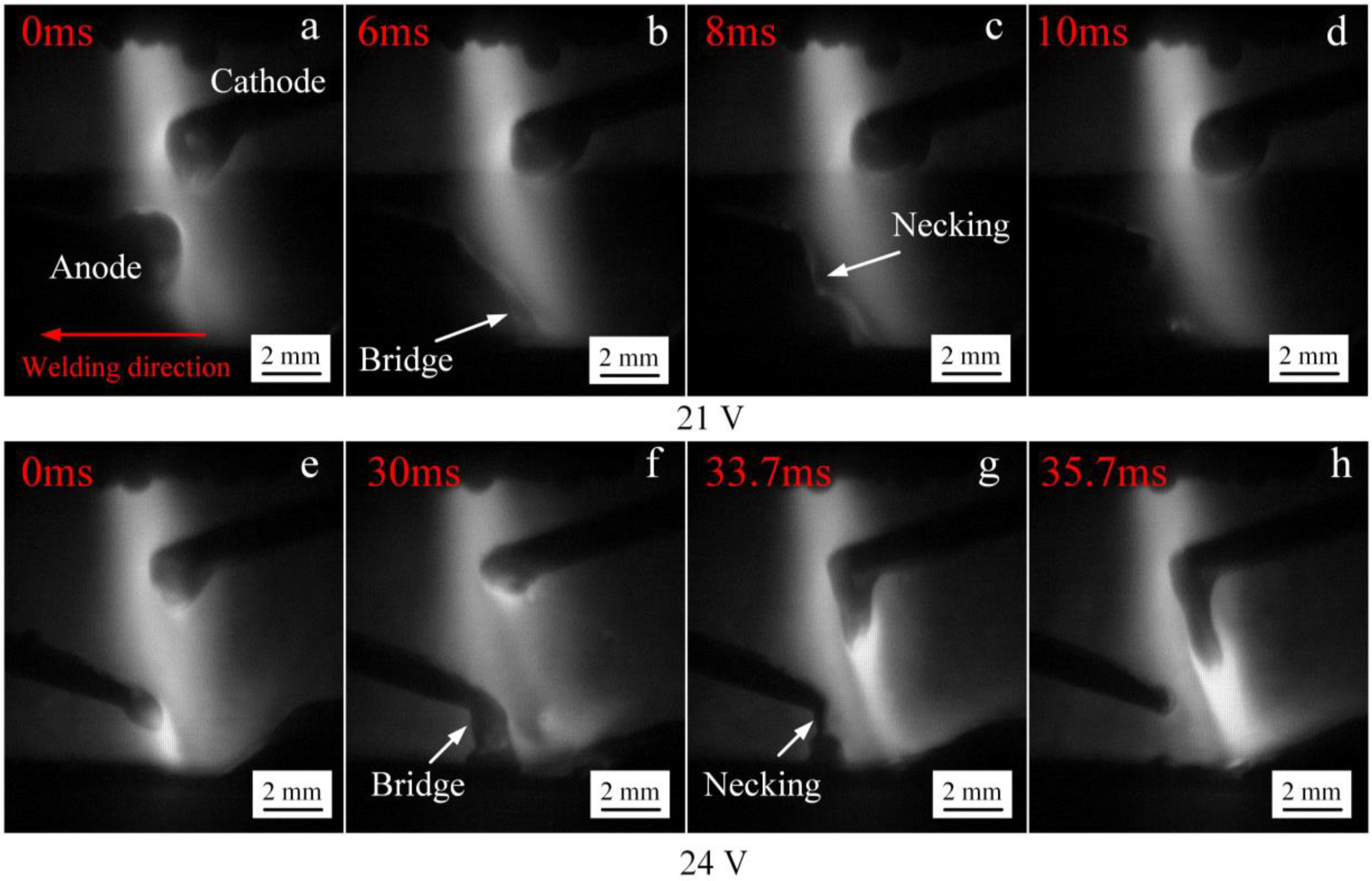 Materials 12 03985 g005