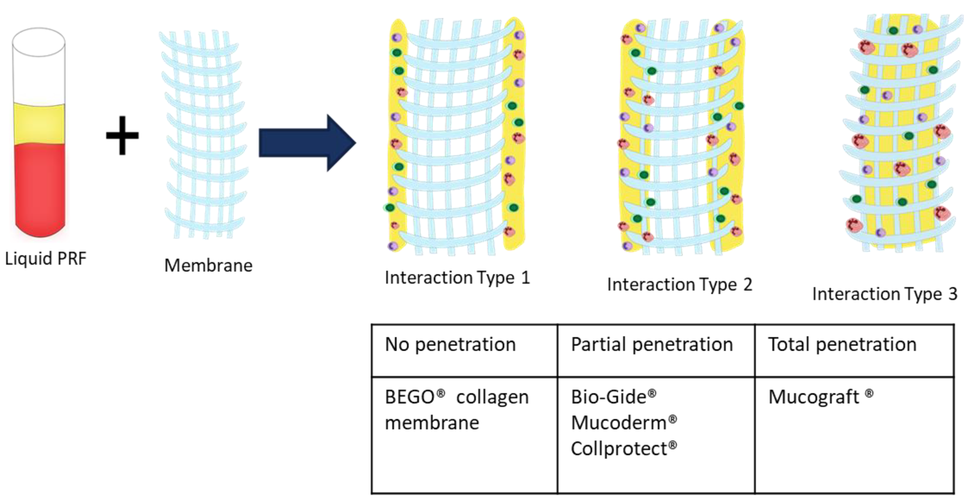 Materials 12 03993 g006 550