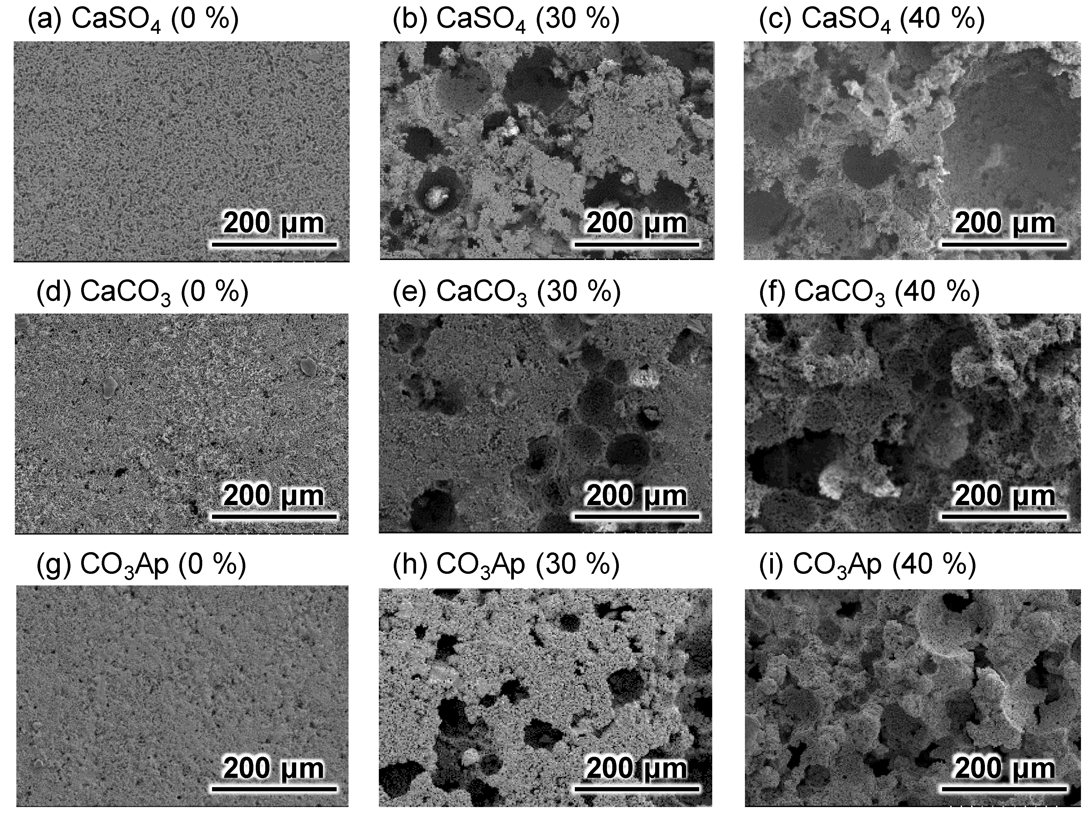 Materials 12 03997 g001