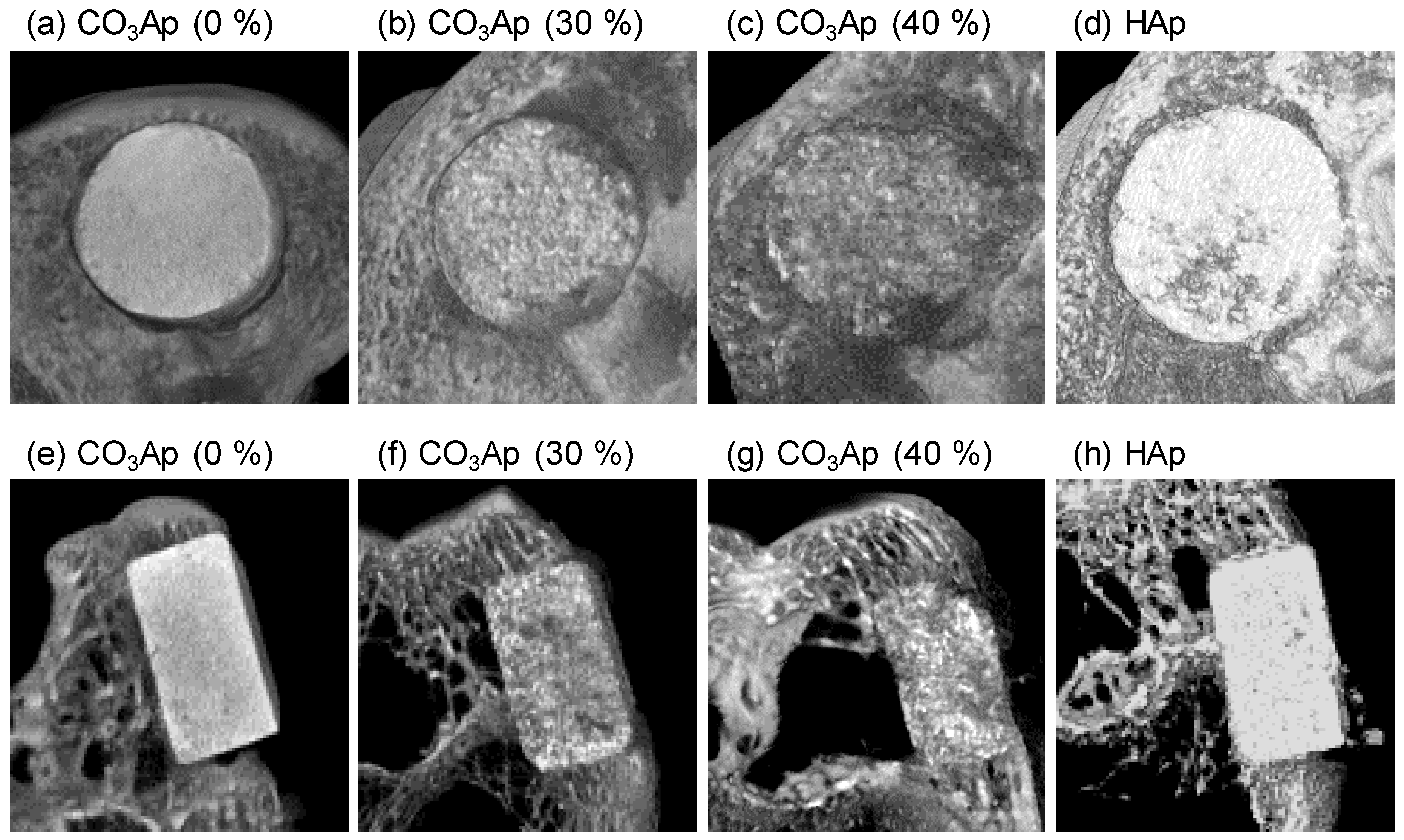 Materials 12 03997 g005