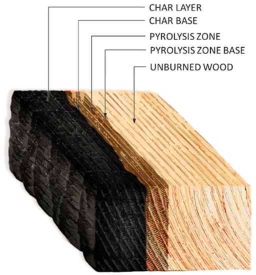 Experimental Assessment of the Fire Resistance Mechanisms of Timber