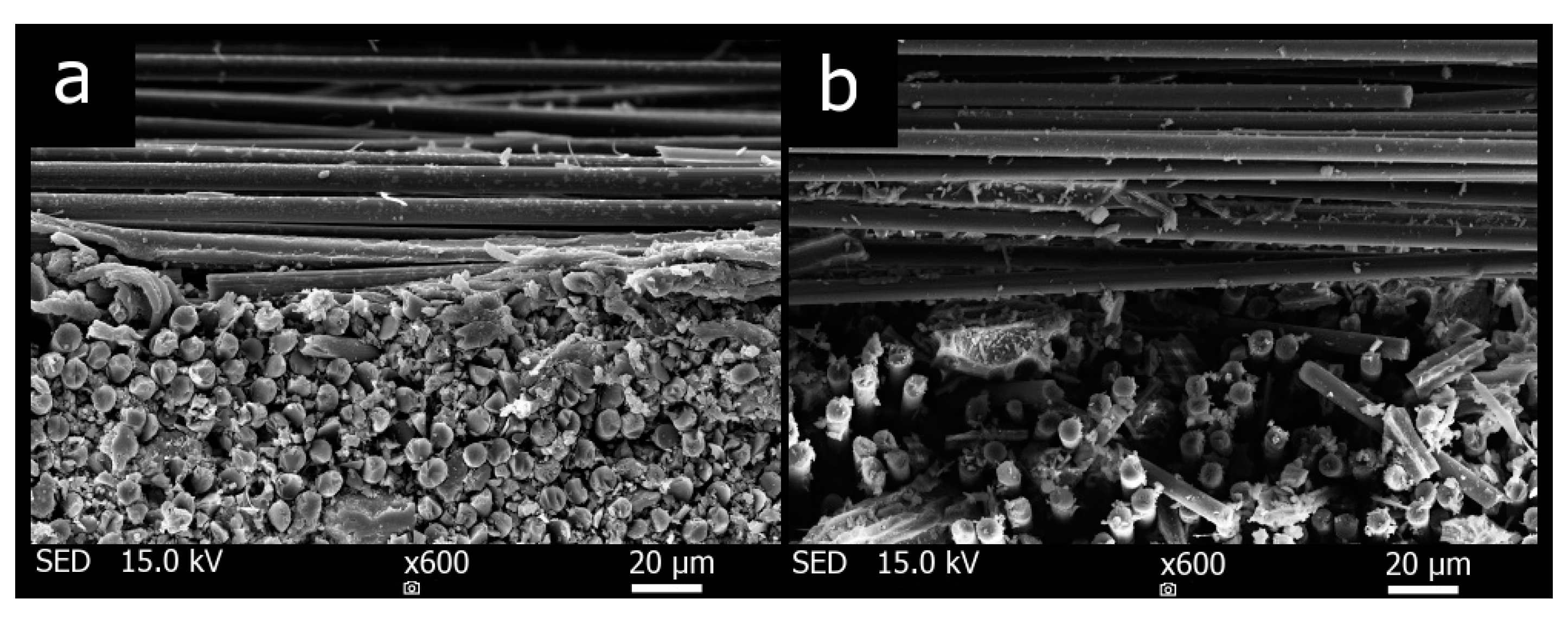 Materials 12 04012 g010