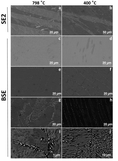 Materials Free Full Text Development Of Antibacterial Ti Cux Alloys For Dental Applications Effects Of Ageing For Alloys With Up To 10 Wt Cu Html