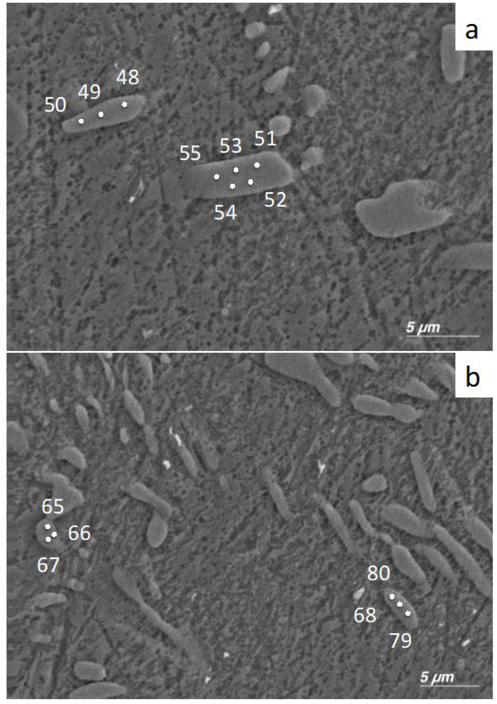 Materials 12 04017 g003