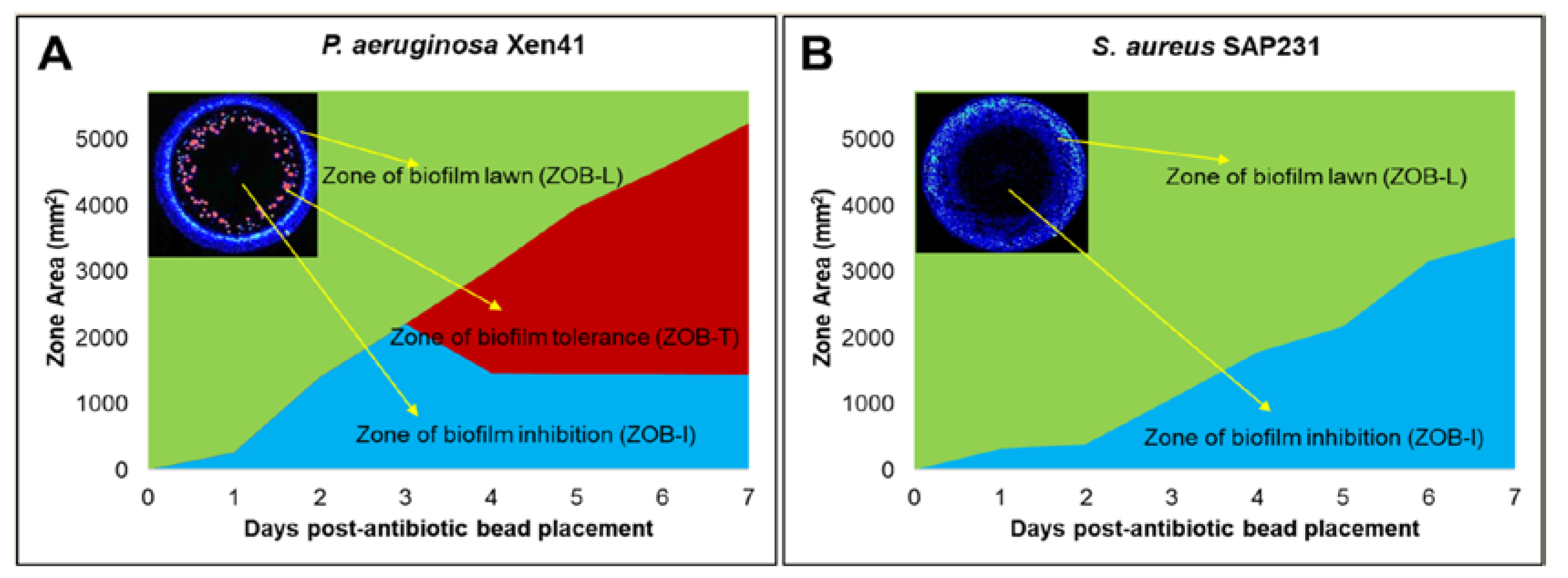 Materials 12 04052 g002 Materials 12 04052 g002