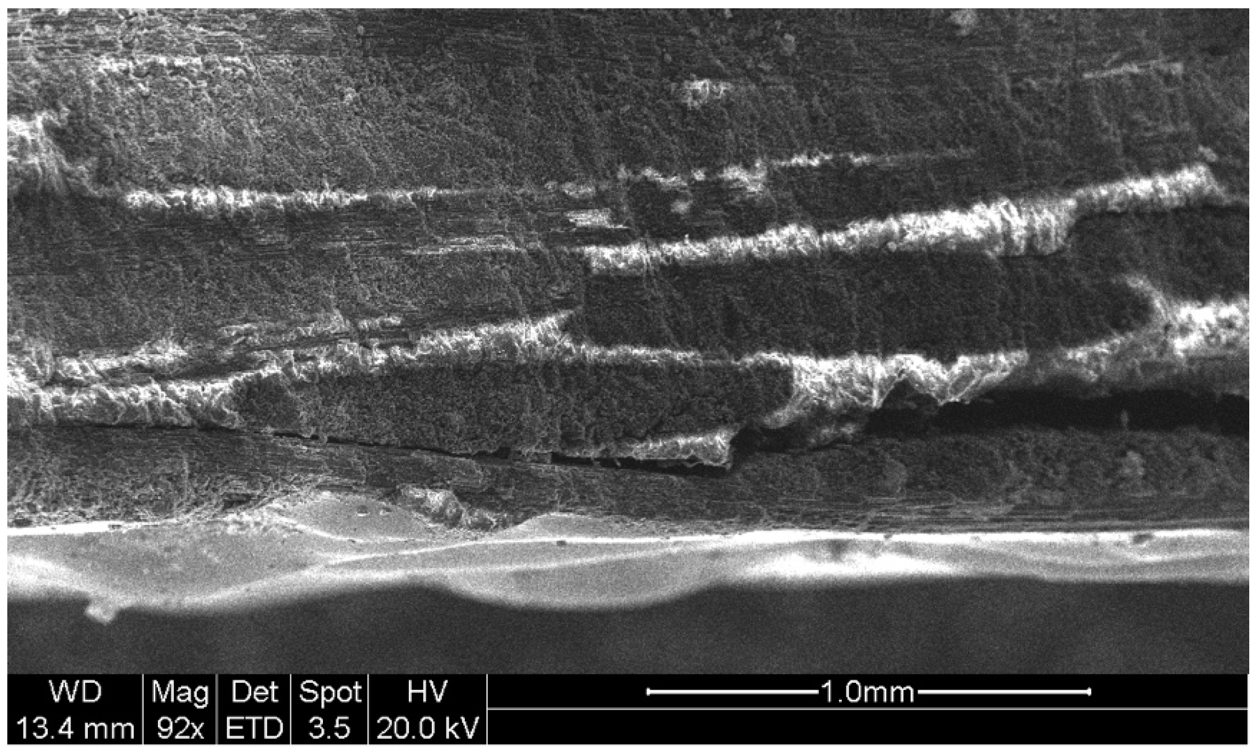 Materials 12 04055 g009