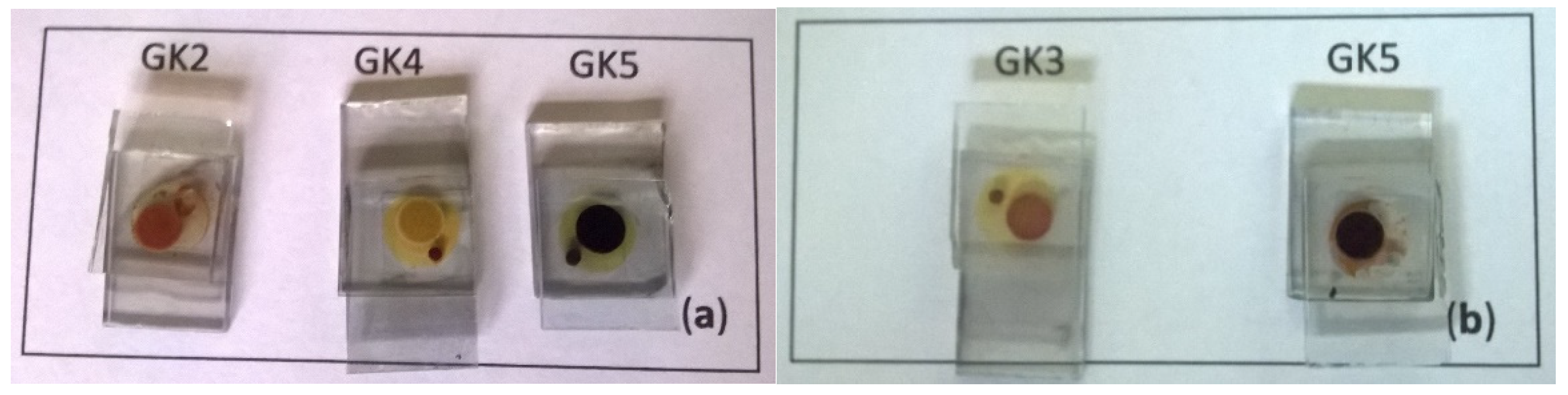 Materials 12 04060 g012