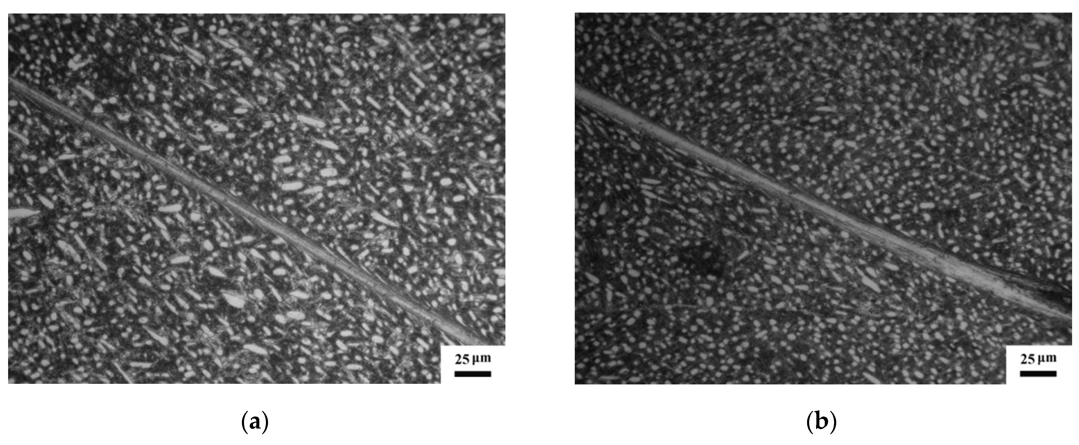 Materials 12 04065 g003 Materials 12 04065 g003