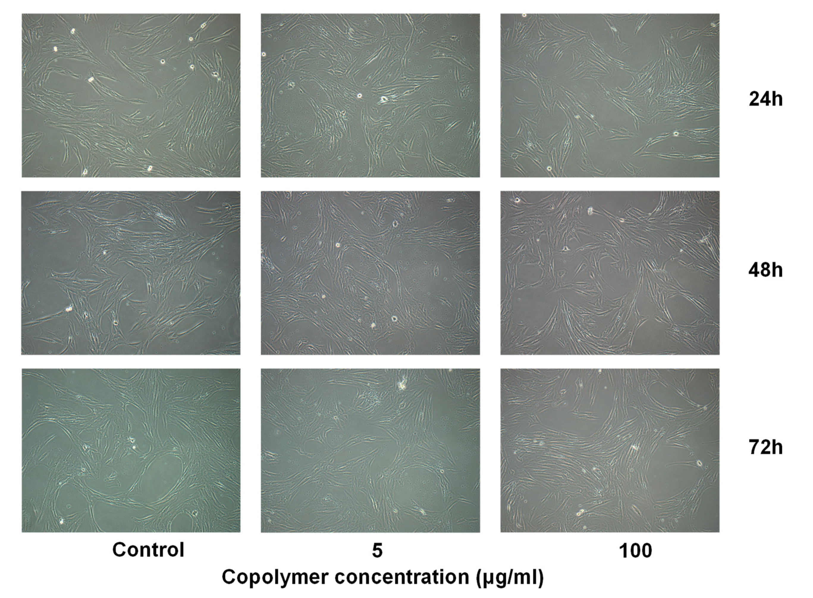 Materials 12 04067 g006