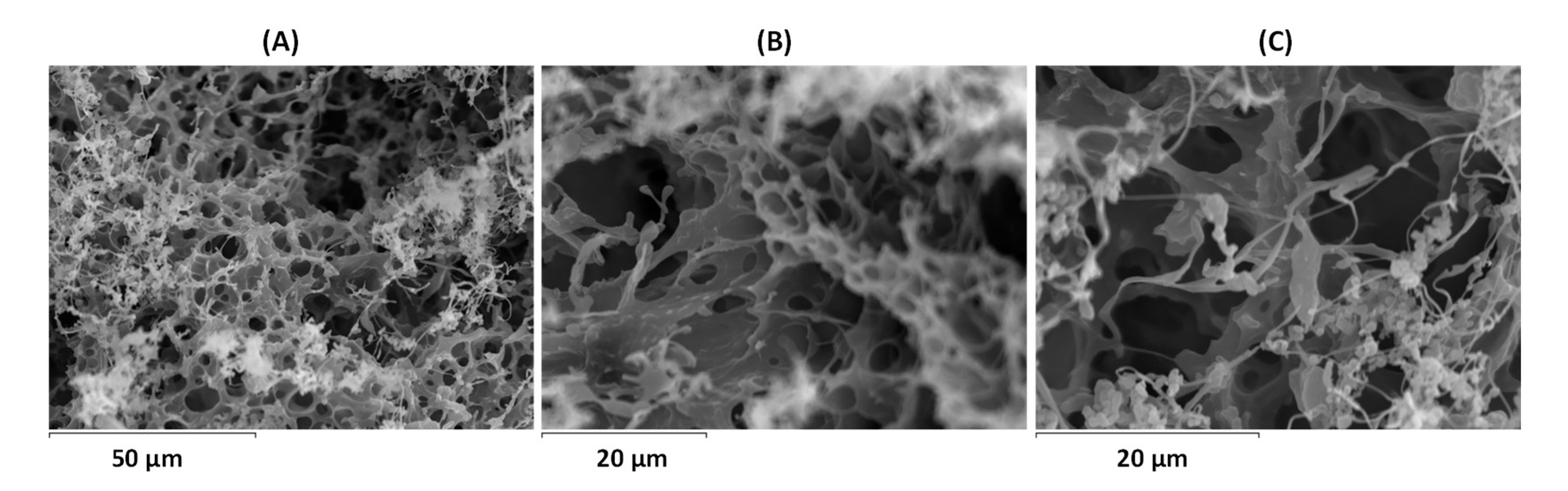 Materials 12 04067 g010