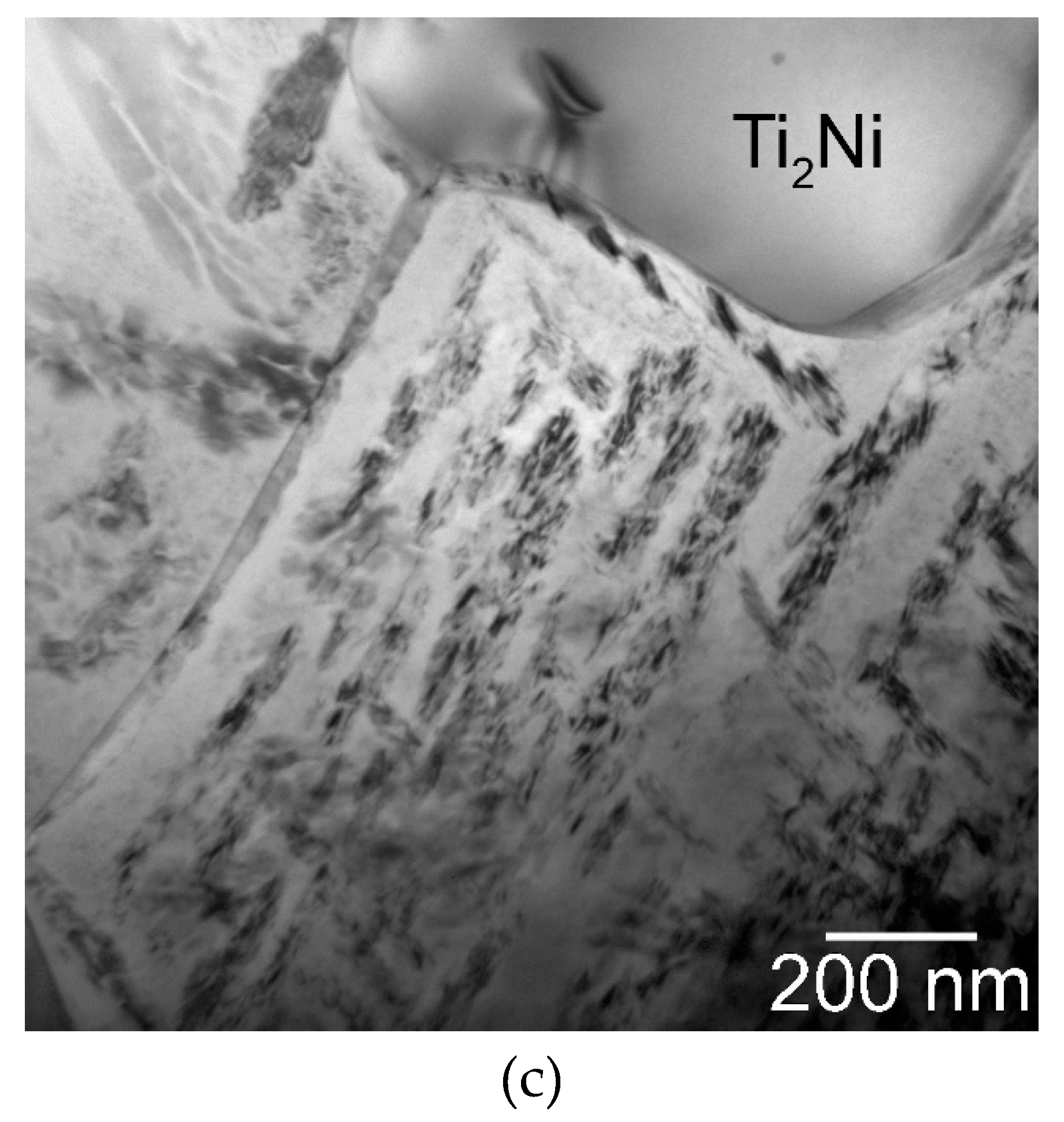 Materials 12 04075 g004b Materials 12 04075 g004b