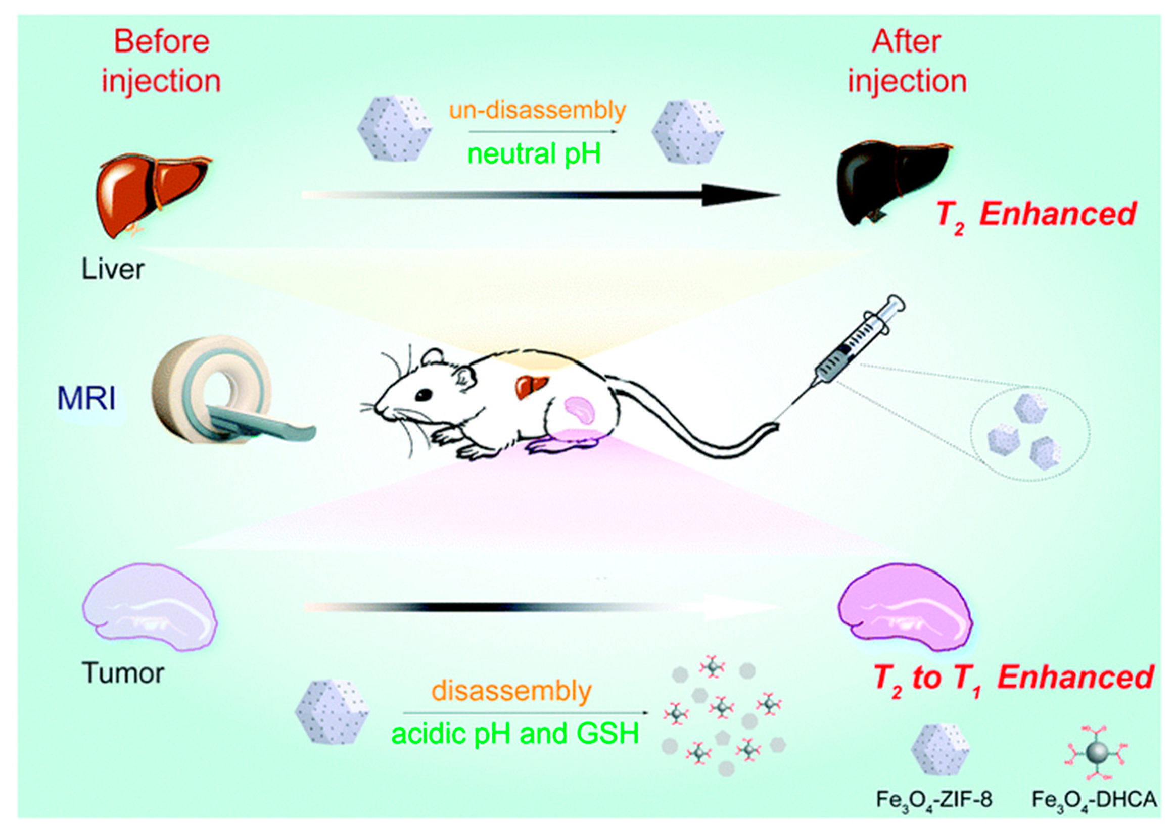 Materials 12 04096 g002