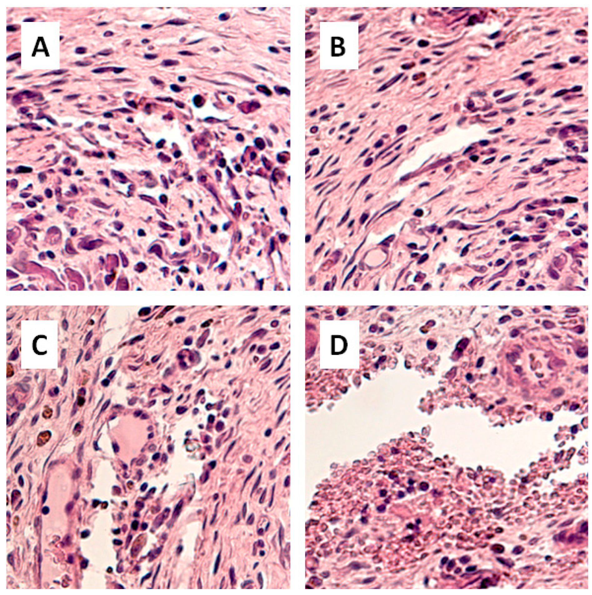 Materials 12 04107 g011 Materials 12 04107 g011
